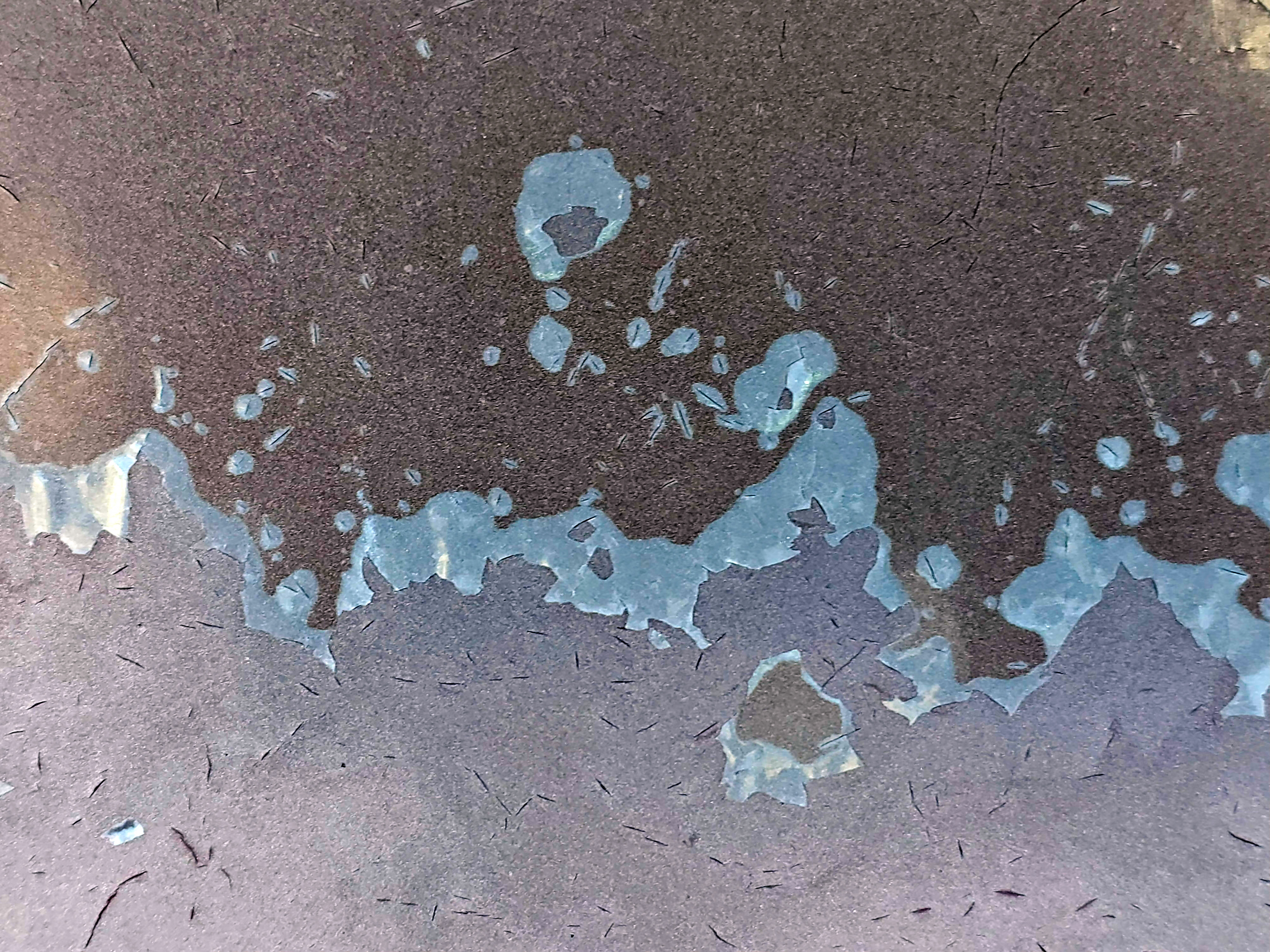 Blue islands emerge, dark scales crack on faded grey, time wears down the paint.