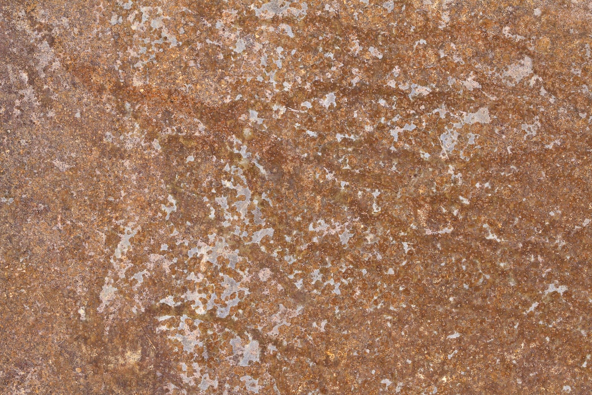 Black paint meets the white, cracked skin shows the heavy body, grit holds the pattern