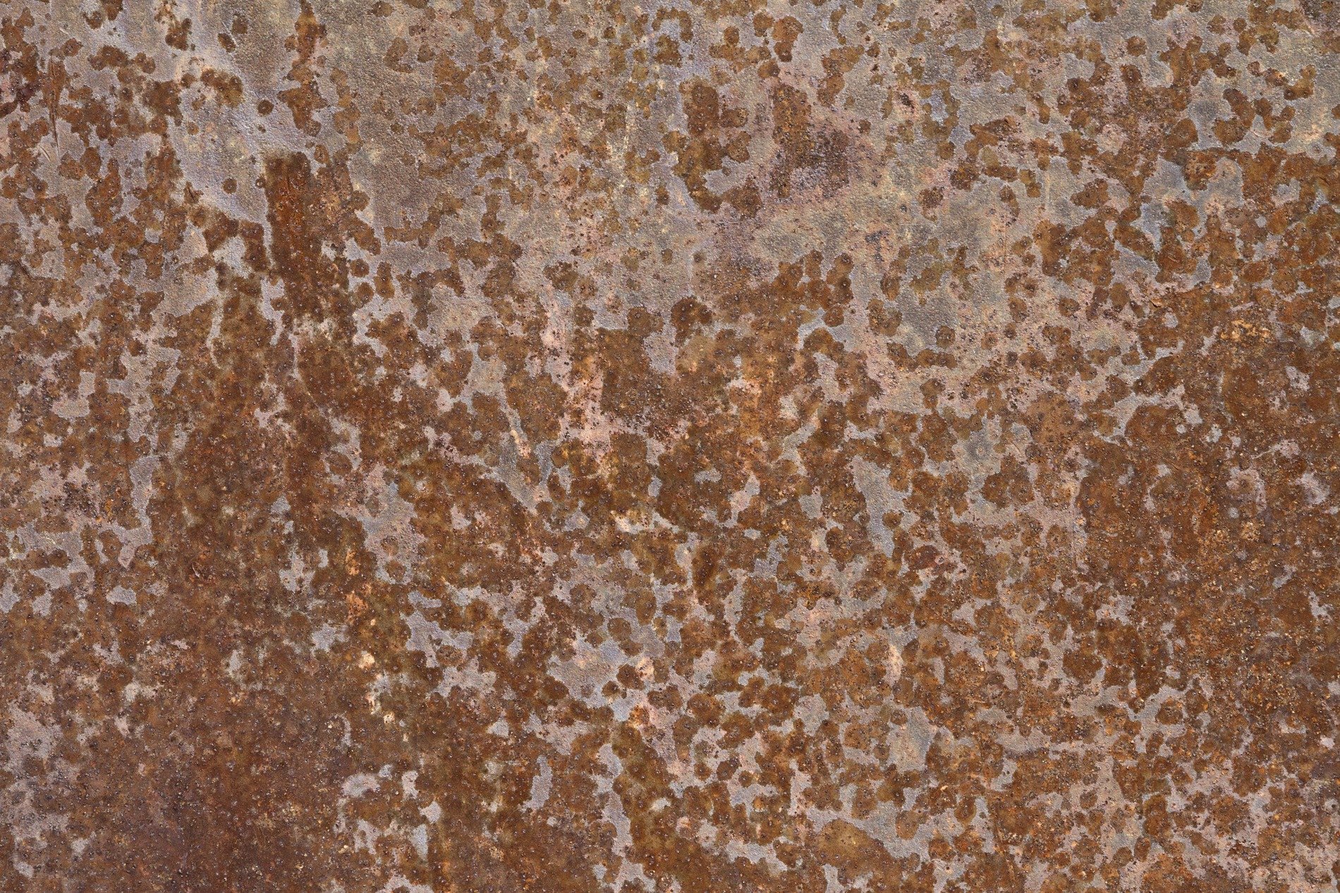 Black paint meets the white, cracked skin shows the heavy wall, grit holds the pattern