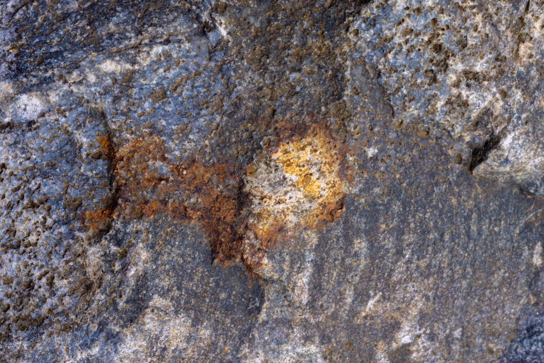 Black skin turns to dust, white specks scatter on the field, time wears the surface