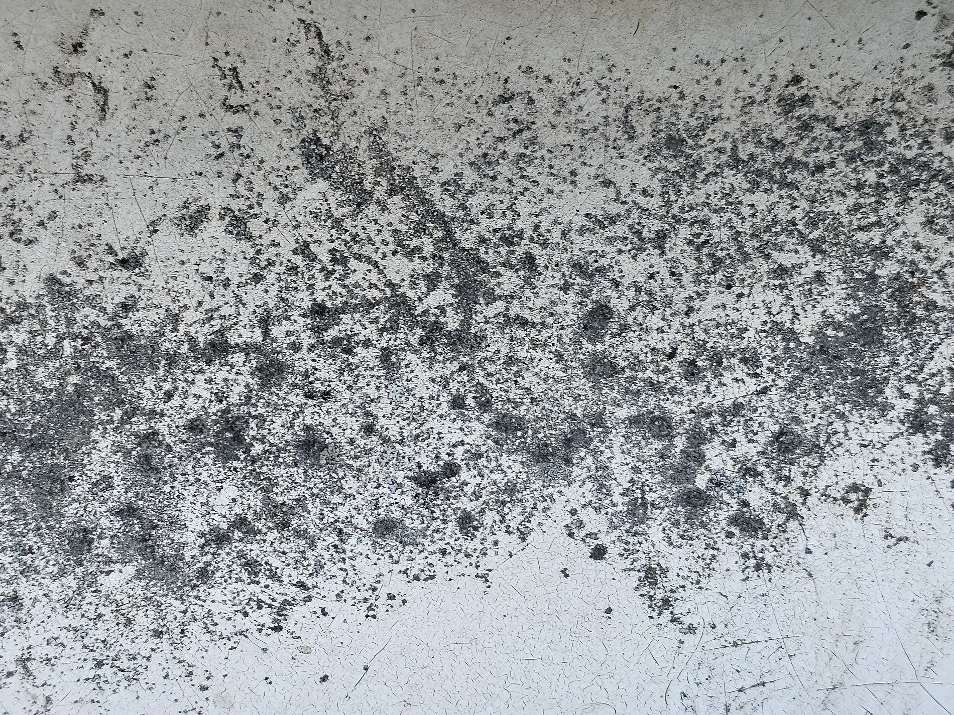 Black specks on the white, cracked skin marks the heavy wall, grit holds the pattern