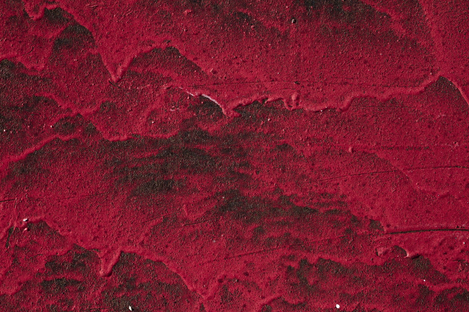 Blue automotive paint meets deep rust, orange oxidation claims the steel fender, grit holds the decay