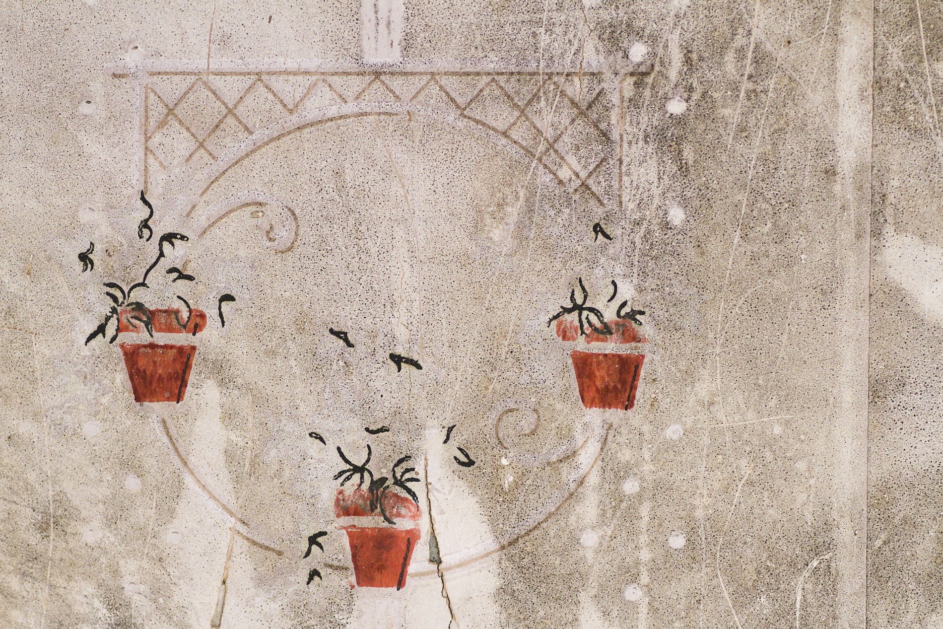 Faint pots on grey stone, geometric lines entwine, paint clings to the wall