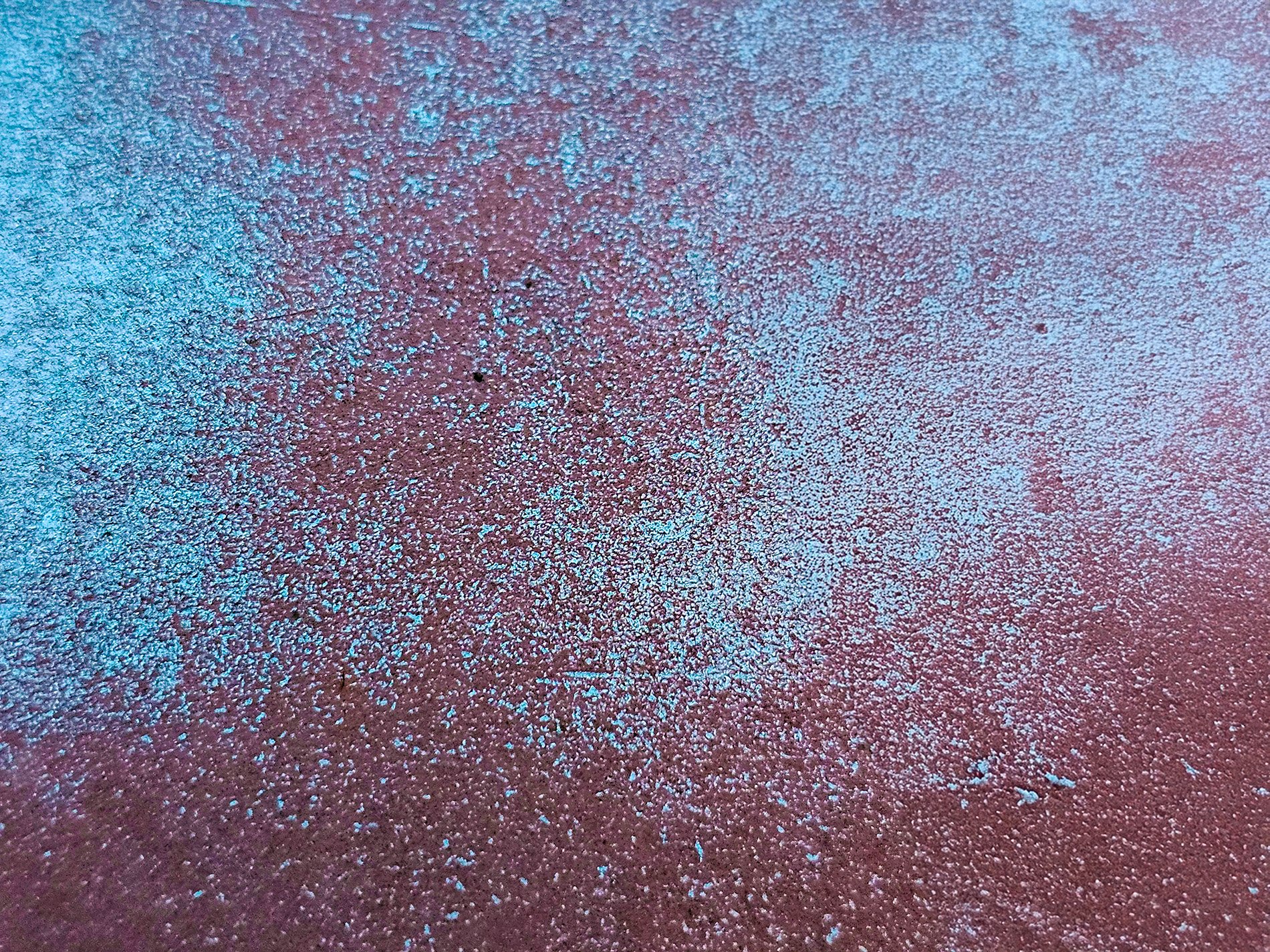 Blue dust on the rose, granular light meets the steel, time claims the finish.