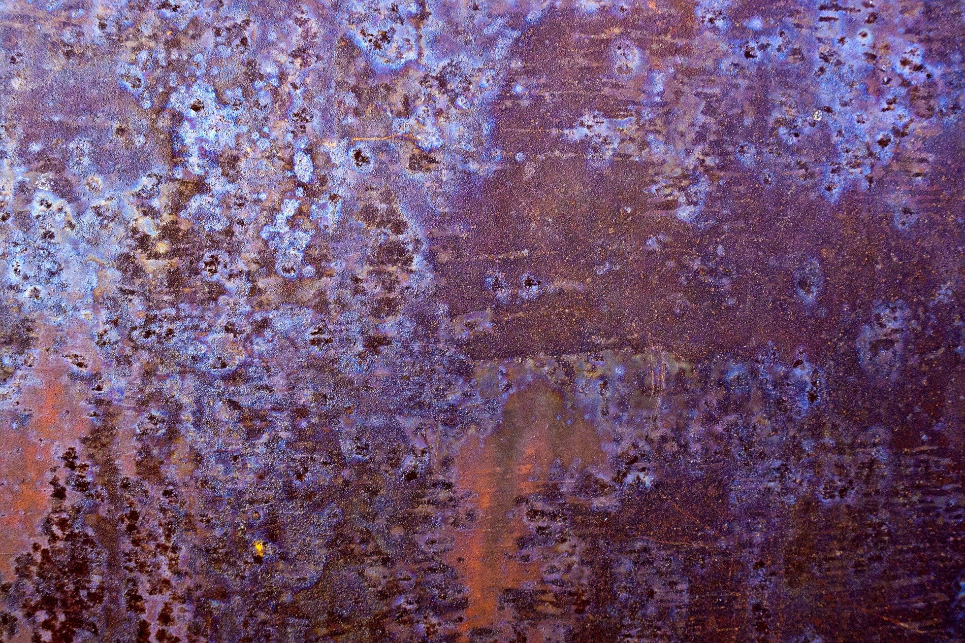 Purple iron blooms, rust devours the heavy plate, colors bleed through time