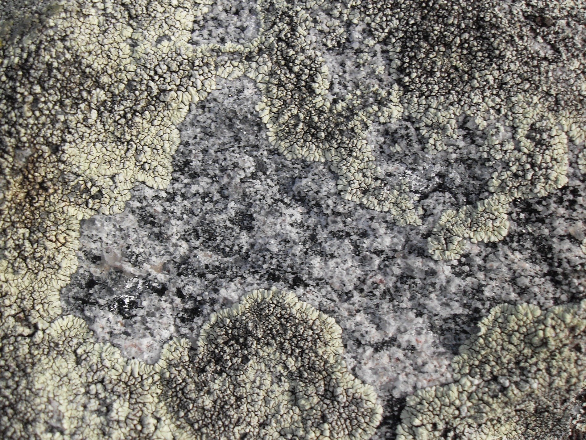 Blue fields meet the grey, heavy marks trace the surface, grit holds the pattern