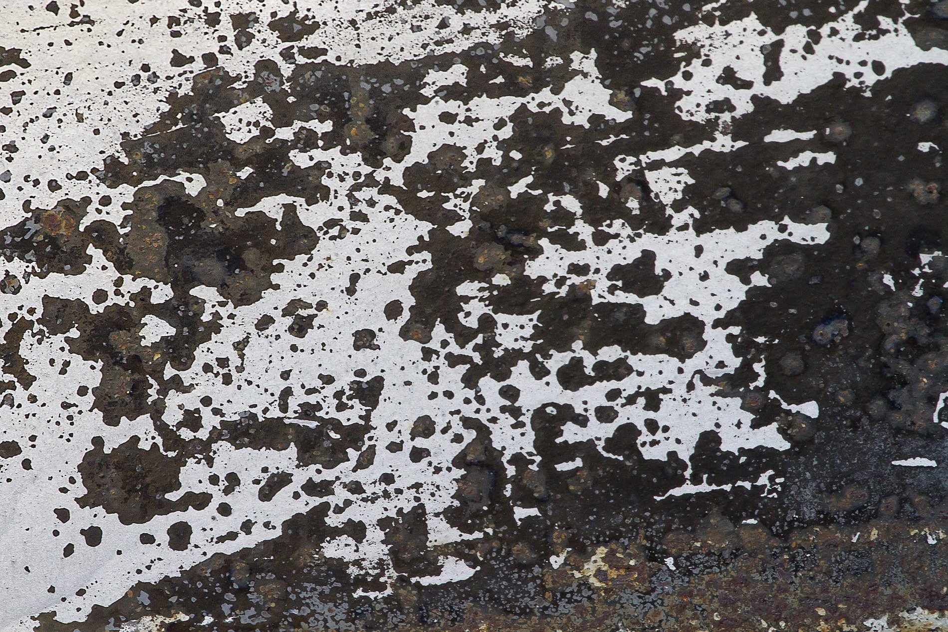 Blue fields meet the rust, orange mist on the car steel, grit marks the shoreline