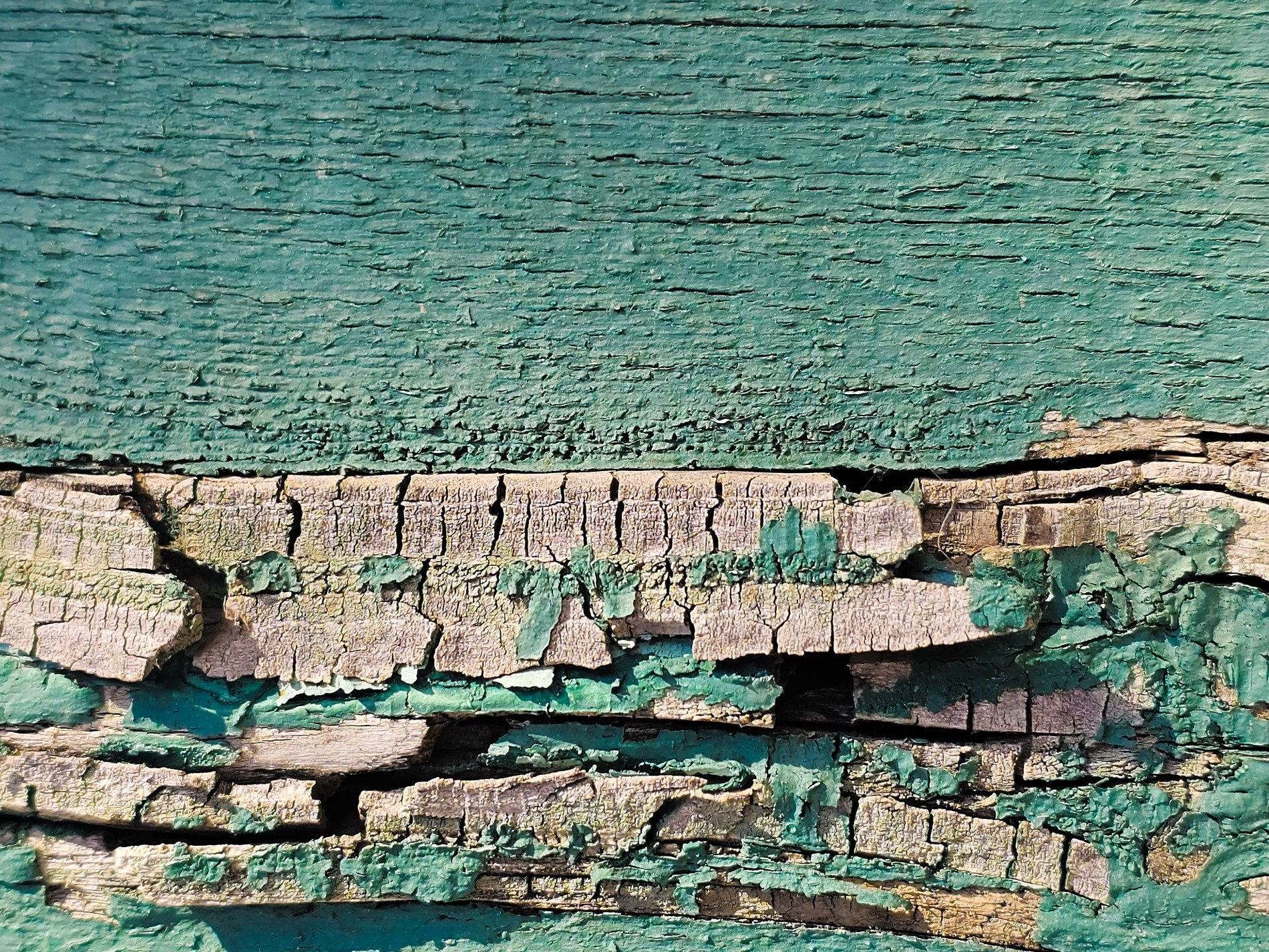 Green paint flakes away, dry wood splits in deep channels, time strips the color