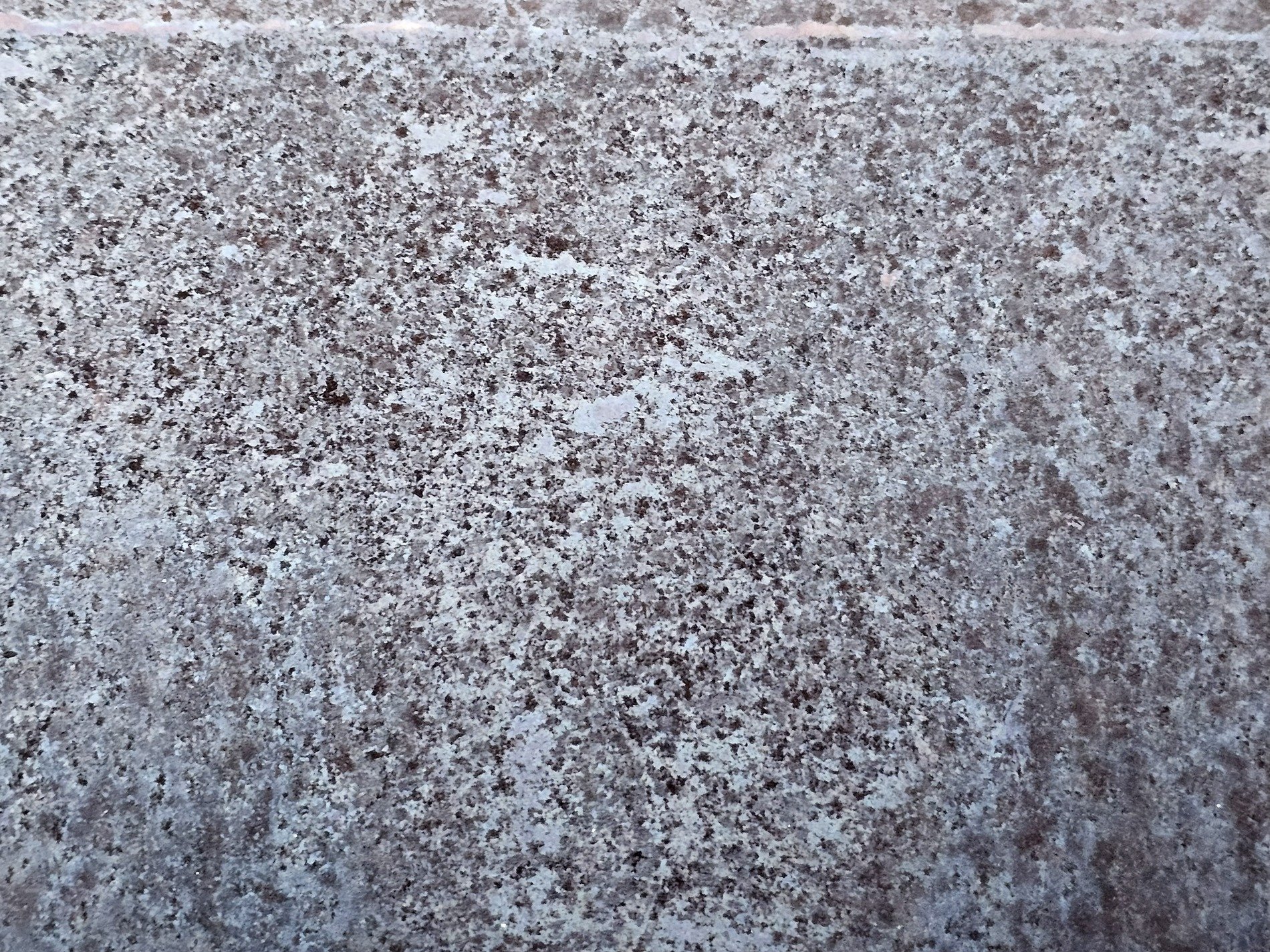 Speckled surface grey, purple grains embedded deep, cold stone stands its ground