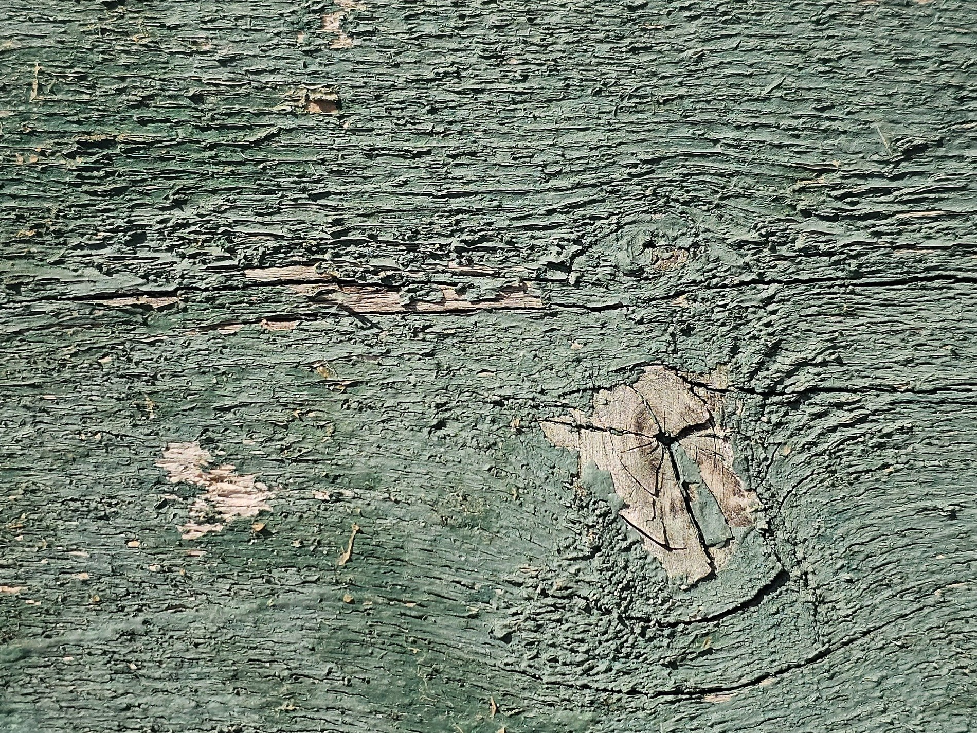Green paint curls and flakes, weathered grain hides in the depths, scarred knots hold the past