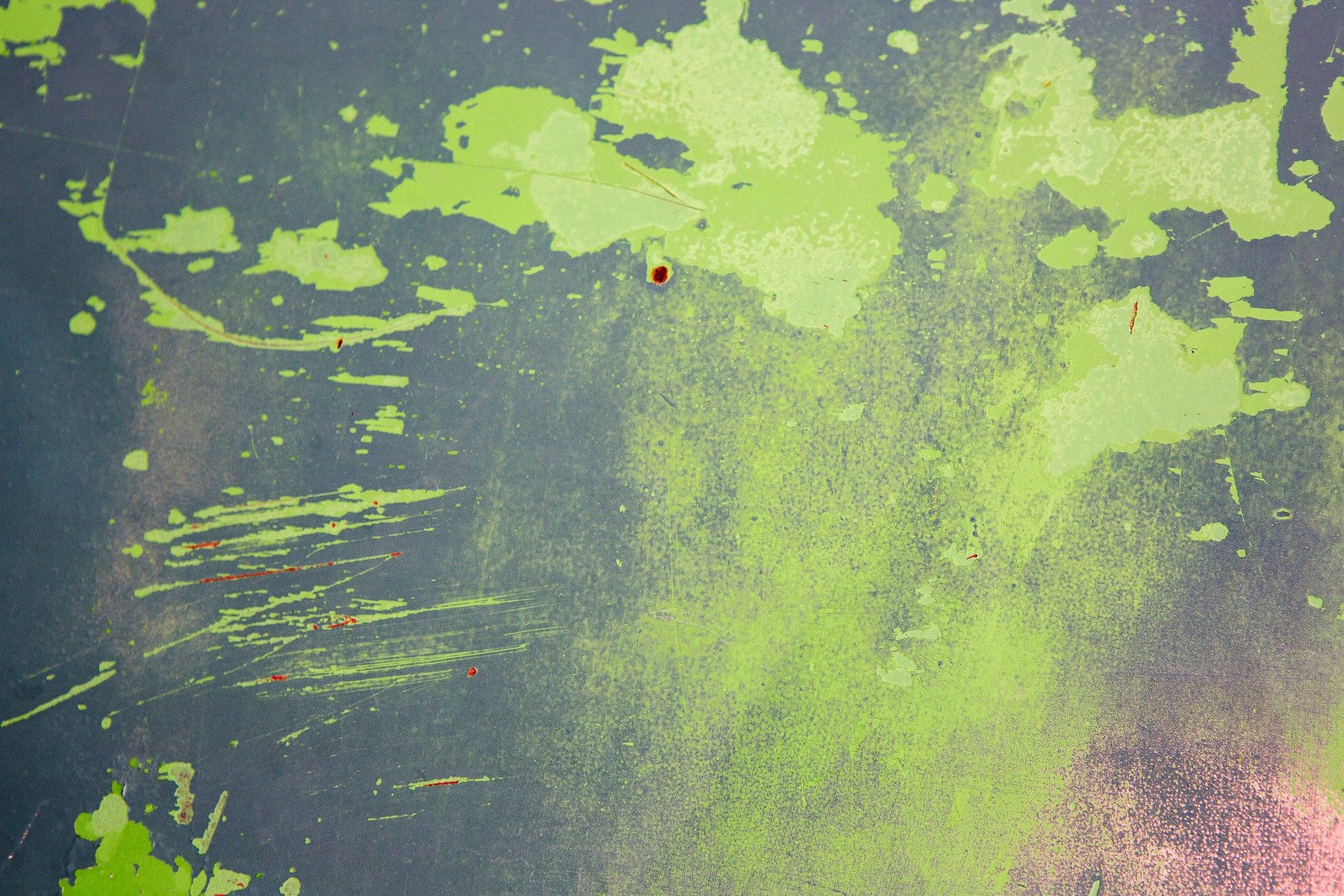 Green flakes peel away, grey metal waits underneath, scars tell of the years