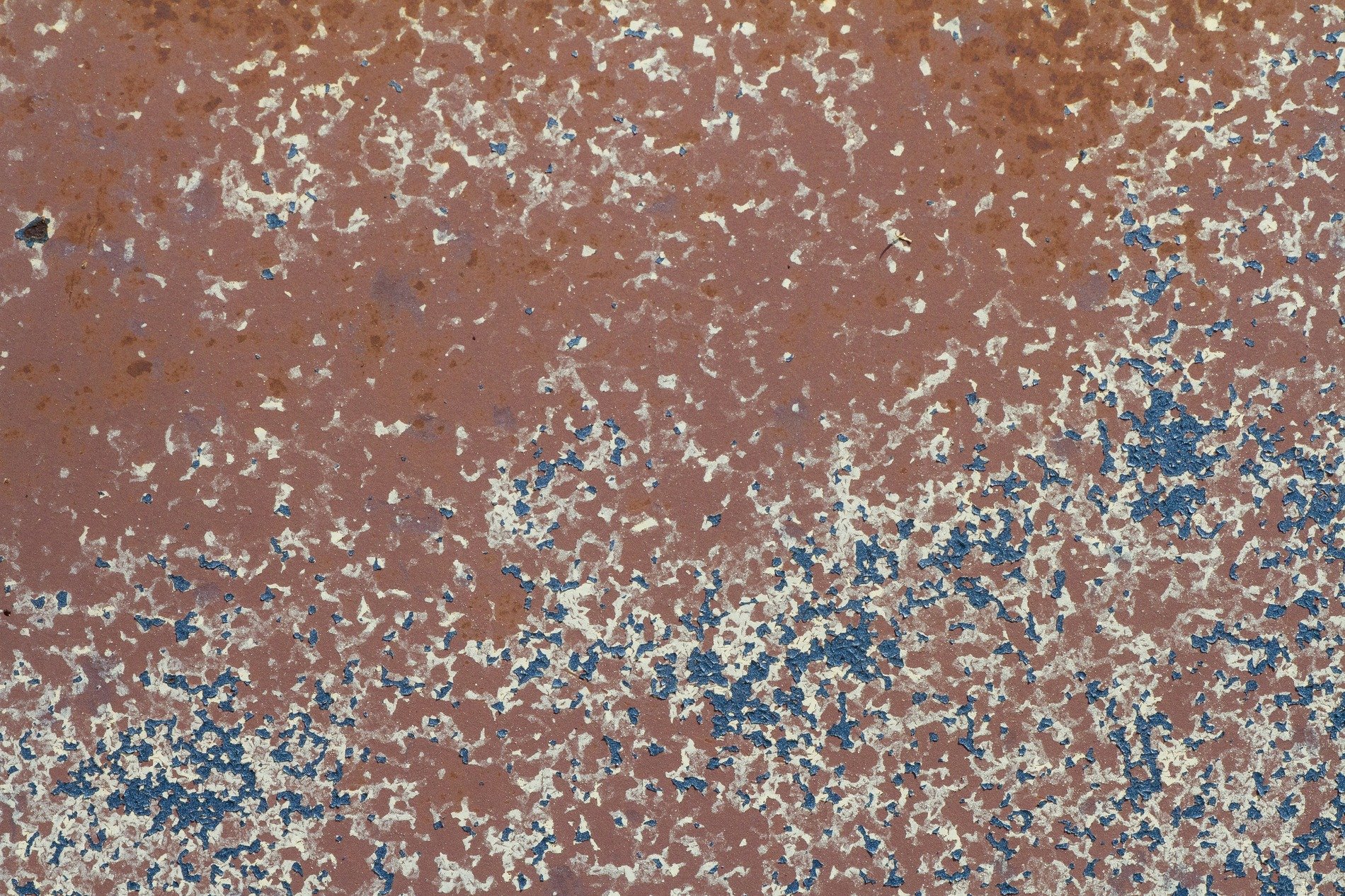 Red rust eats the steel, blue paint flakes like falling snow, time wears down the skin