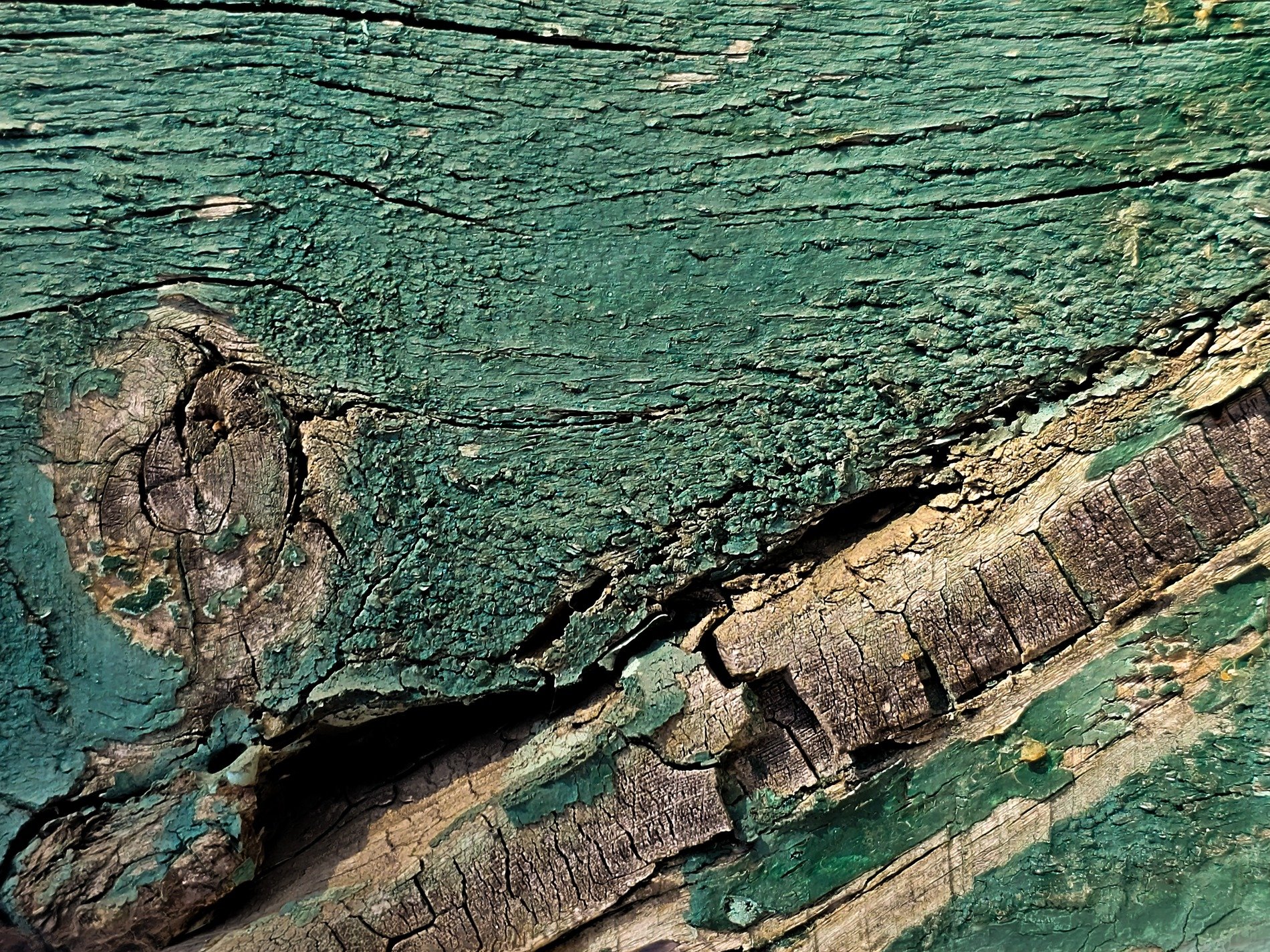 Blue layers peel back, white flakes meet the grey, grit holds the surface