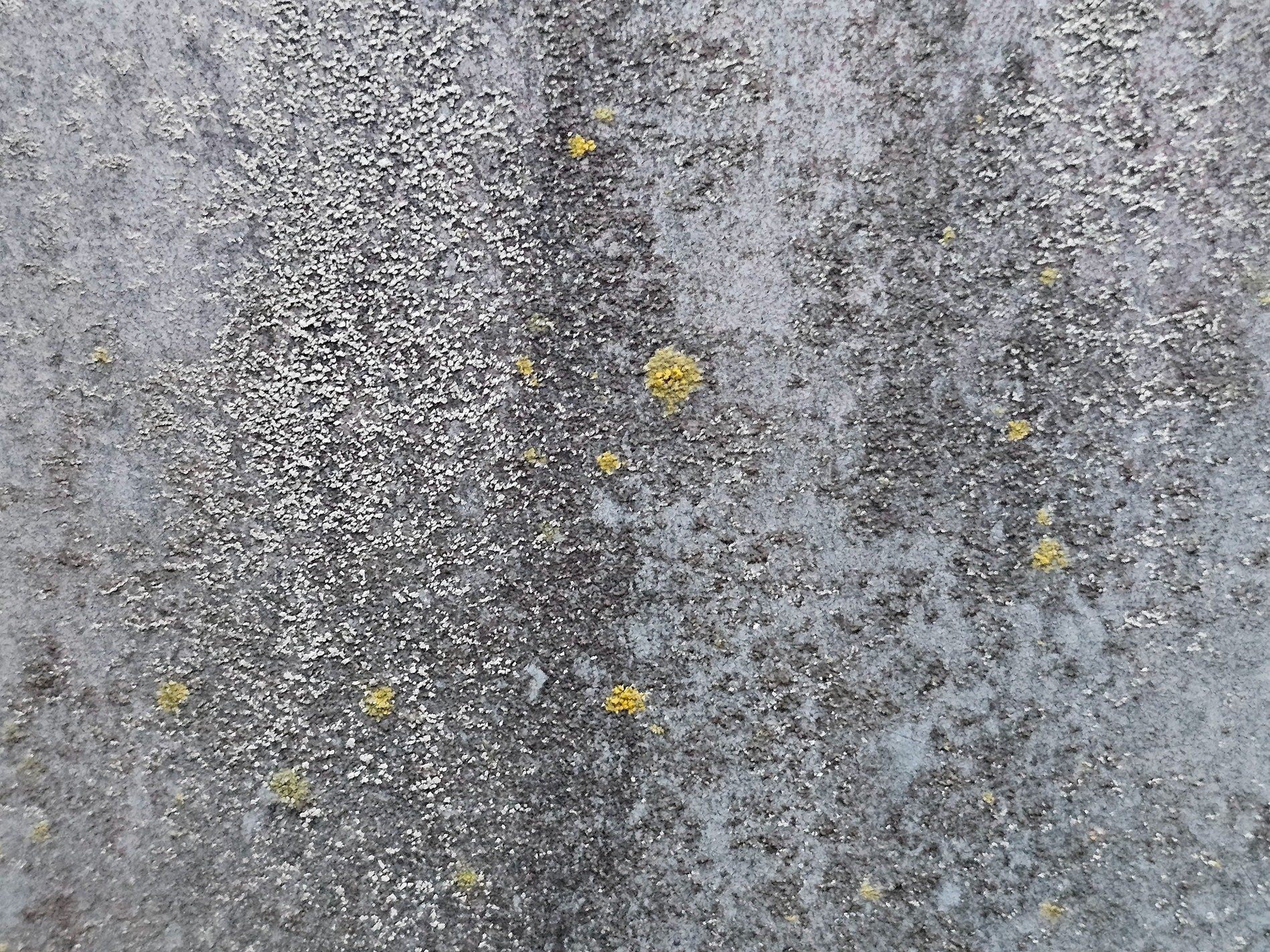 Blue paint flakes away, orange rust claims the steel, time wears down the coat