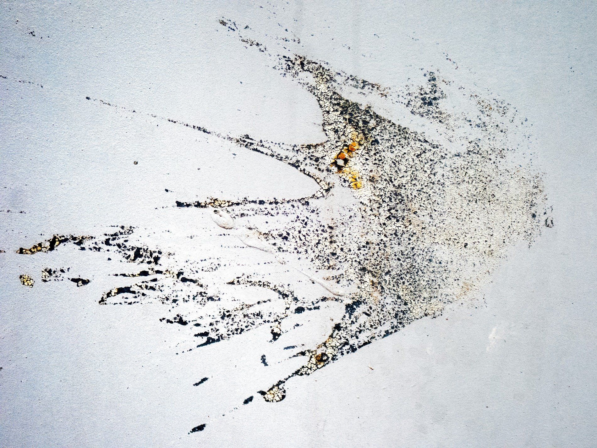 Blue paint flaking on glass, jagged edges meet the light, grit marks the pane