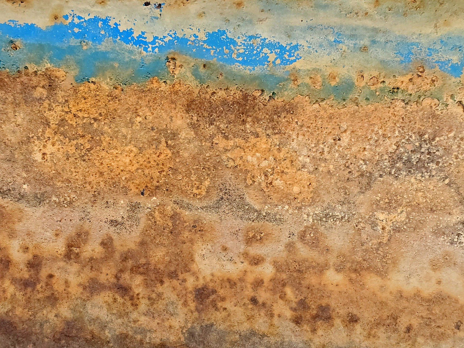 Blue paint holds the edge, orange rust consumes the steel, brown flakes drift away
