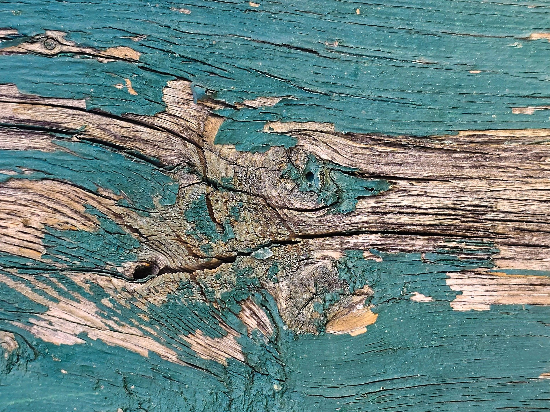 Teal paint flakes away, weathered grain reveals itself, knots watch from the wood