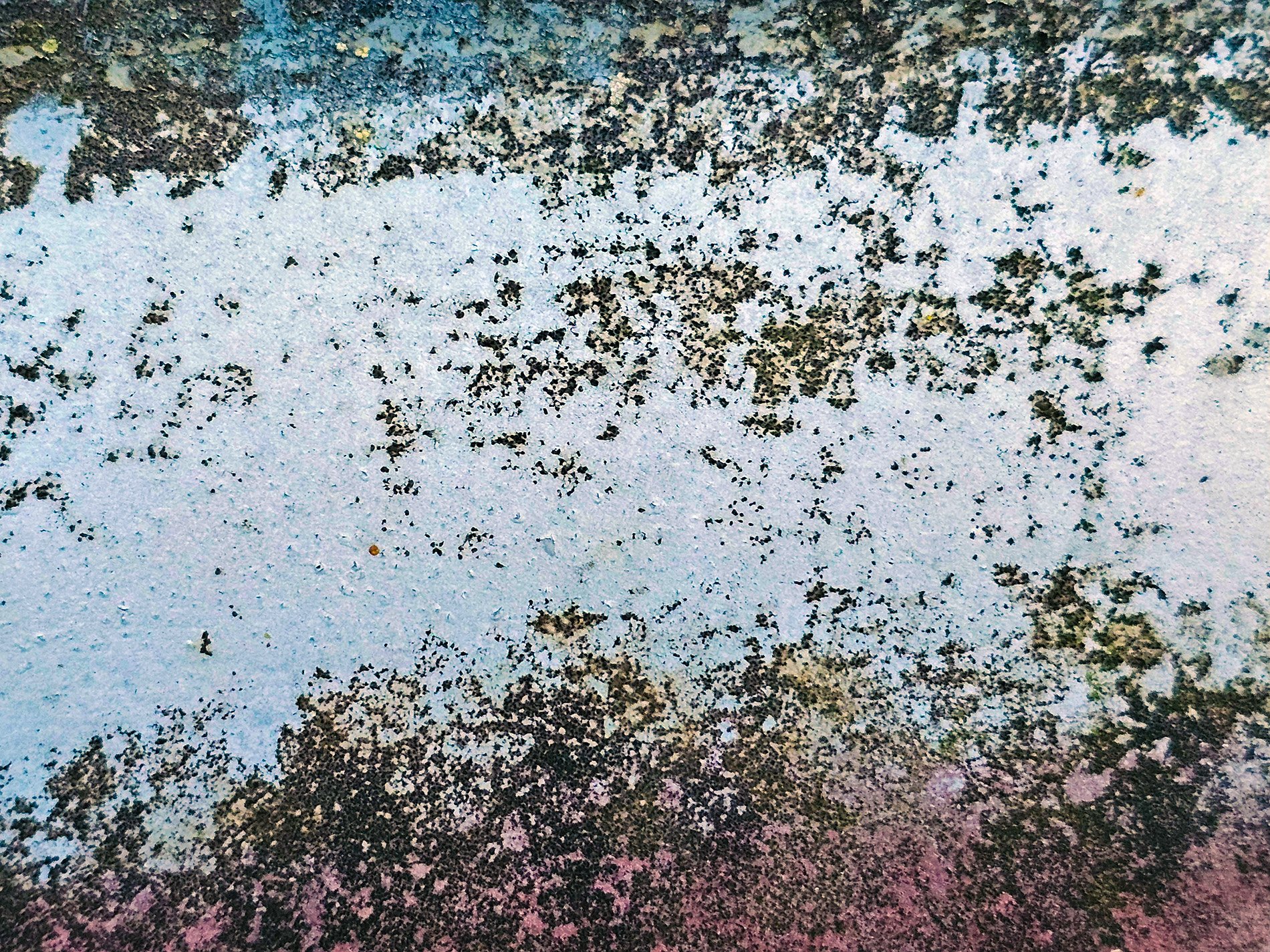 Blue paint peels away, dark moss grows on pitted steel, time claims the finish.