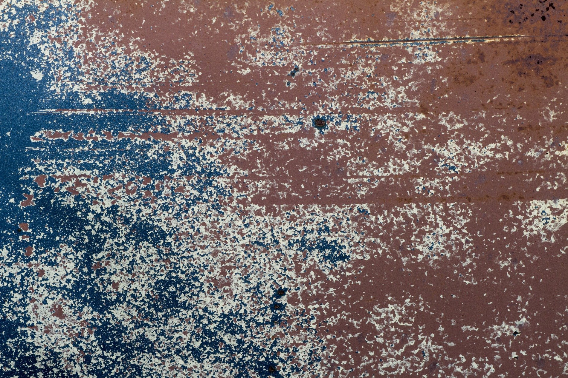 Blue skin meets the rust, orange veins bleed on the steel, grit marks the finish