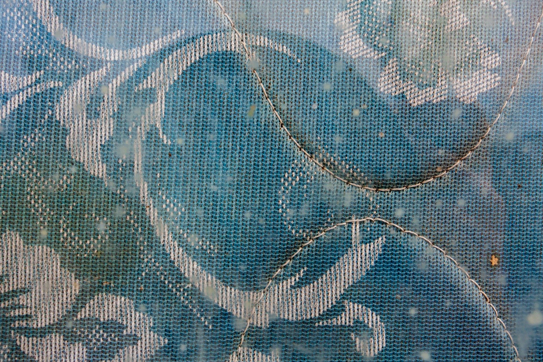 Blue threads weave through deep, rough lines trace the skin, light holds the pattern