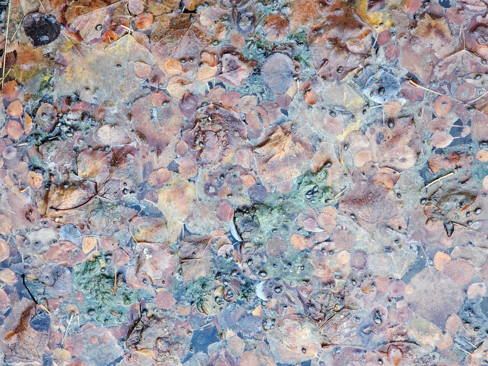 Brown curves drift in wet, mottled layers meet the field, time holds the organic