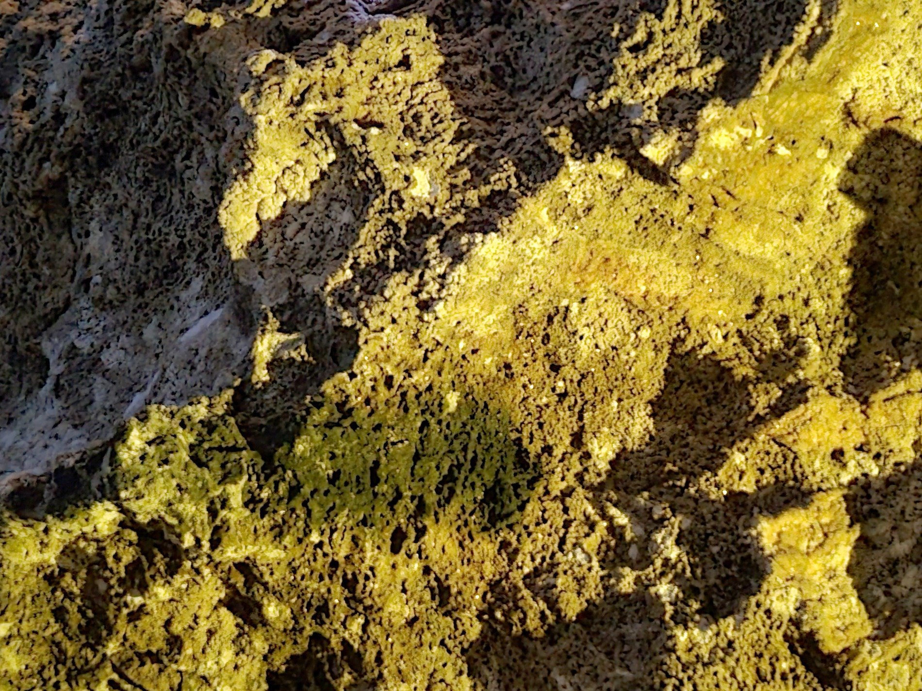 Gold light hits the rock, shadows crawl through porous depths, ancient earth endures