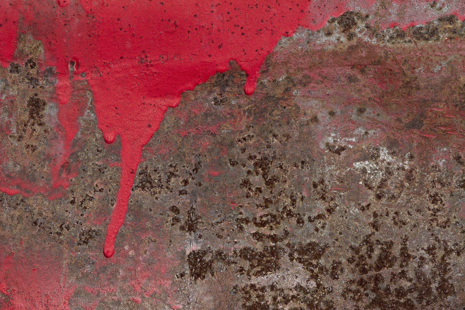 Brown rust eats the car steel, orange veins bleed on the plate, time leaves a thick mark