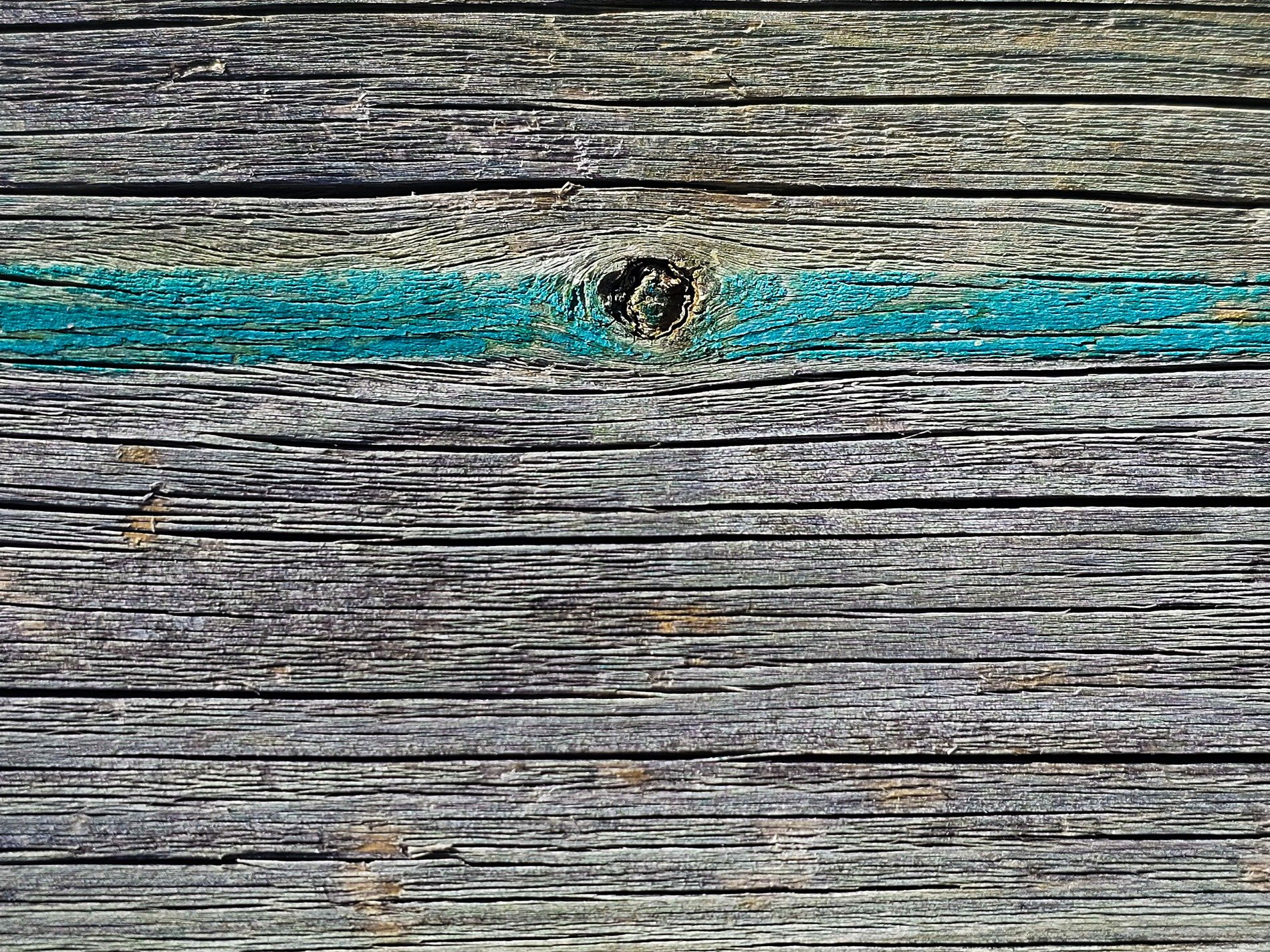 Weathered grain runs long, teal paint marks a wooden knot, aged grey timber rests