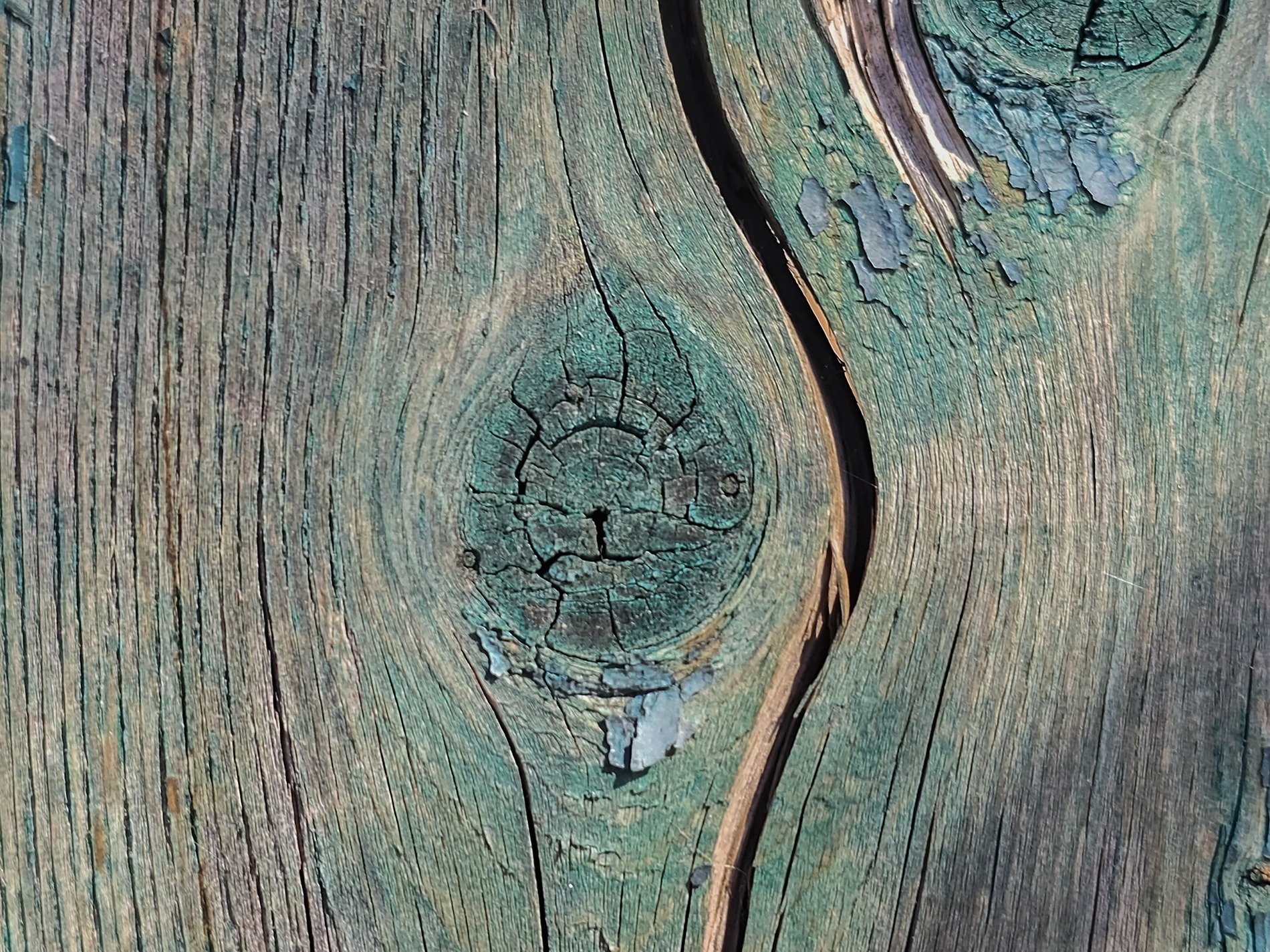 Teal paint fades away, cracked wood knot stares like an eye, deep grains split the plank
