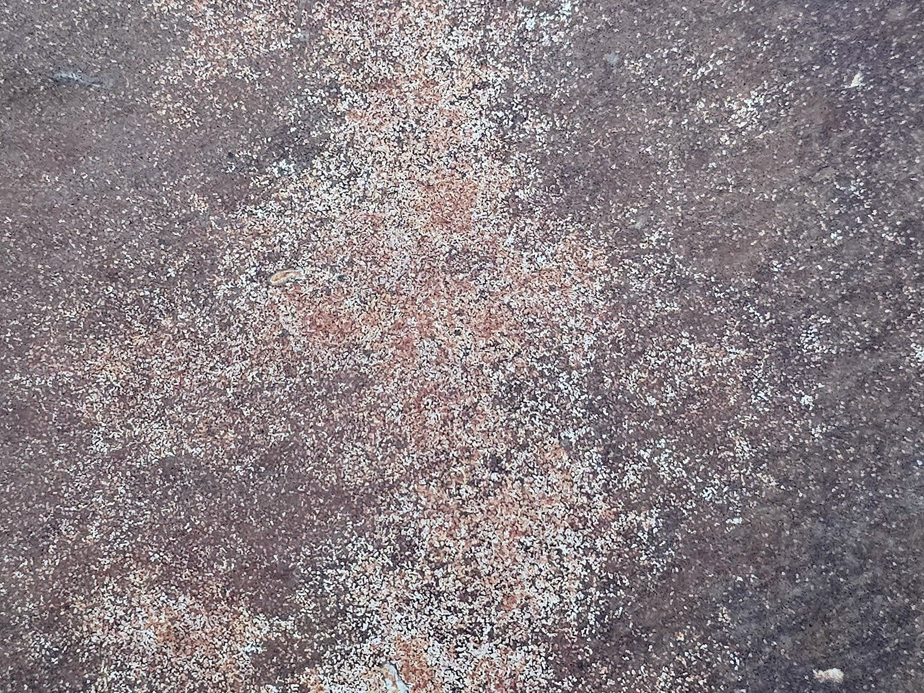 Brown skin turns to dust, white specks scatter on the rust, time wears down the plate