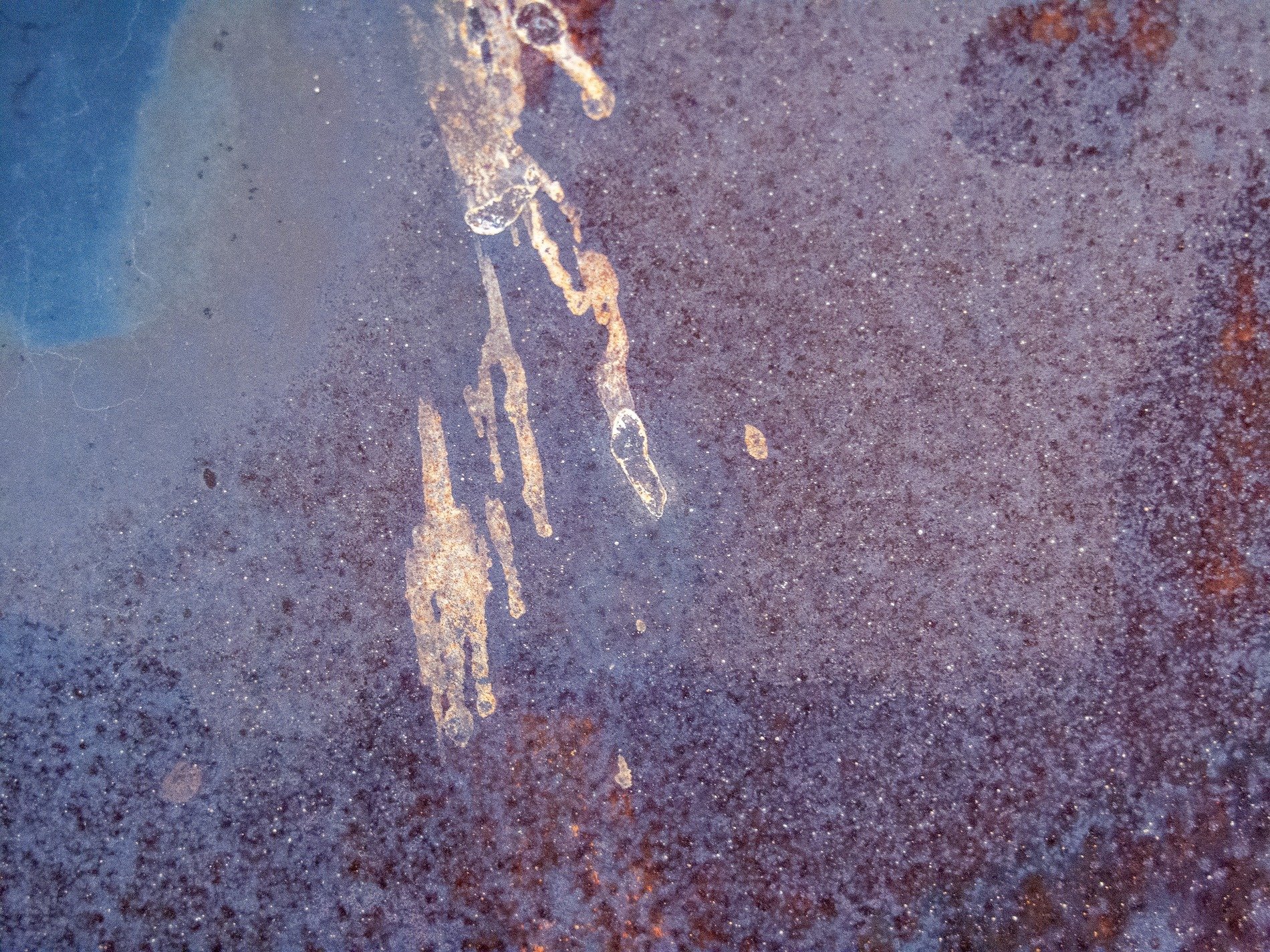 Cream fields meet the grey, faded skin holds the light, time wears the finish