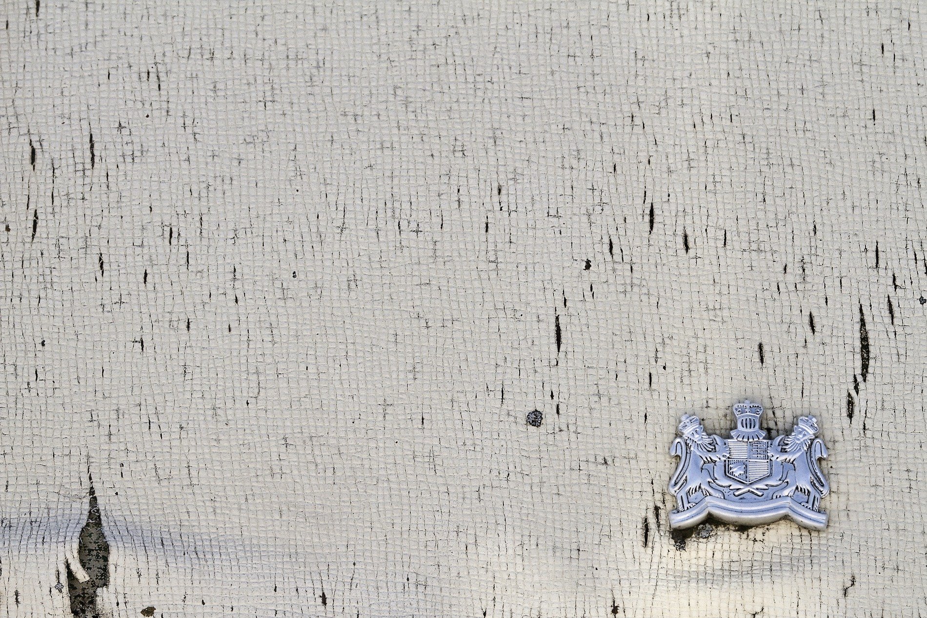 Cream skin cracks and splits, silver crest marks the old age, grit holds the surface