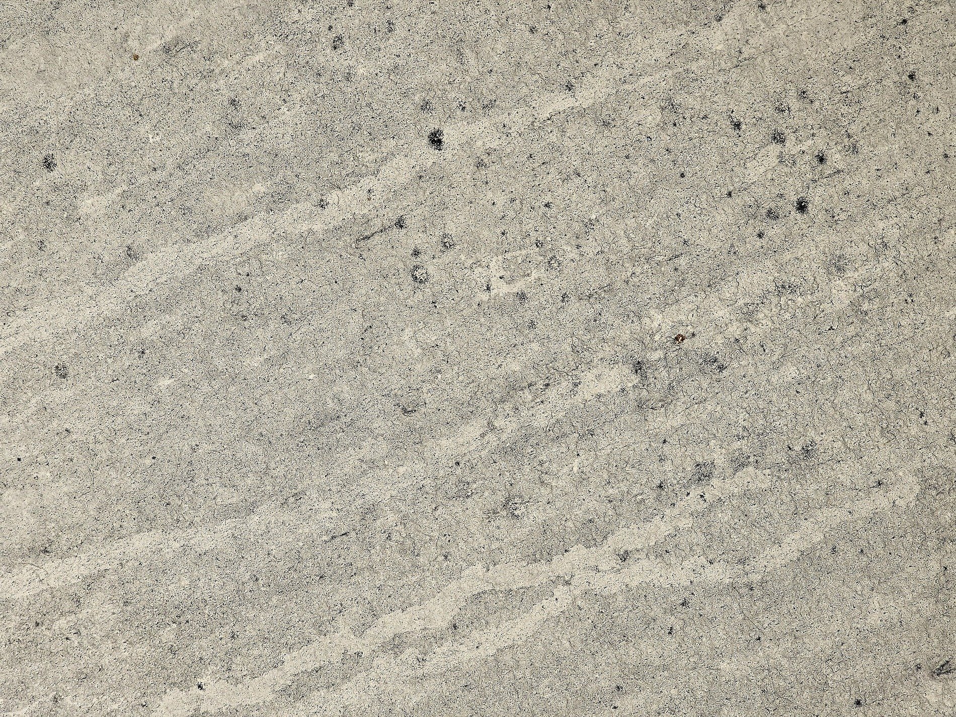 Cream skin pits and bumps, dark spots mark the fading paint, grit meets the shadow