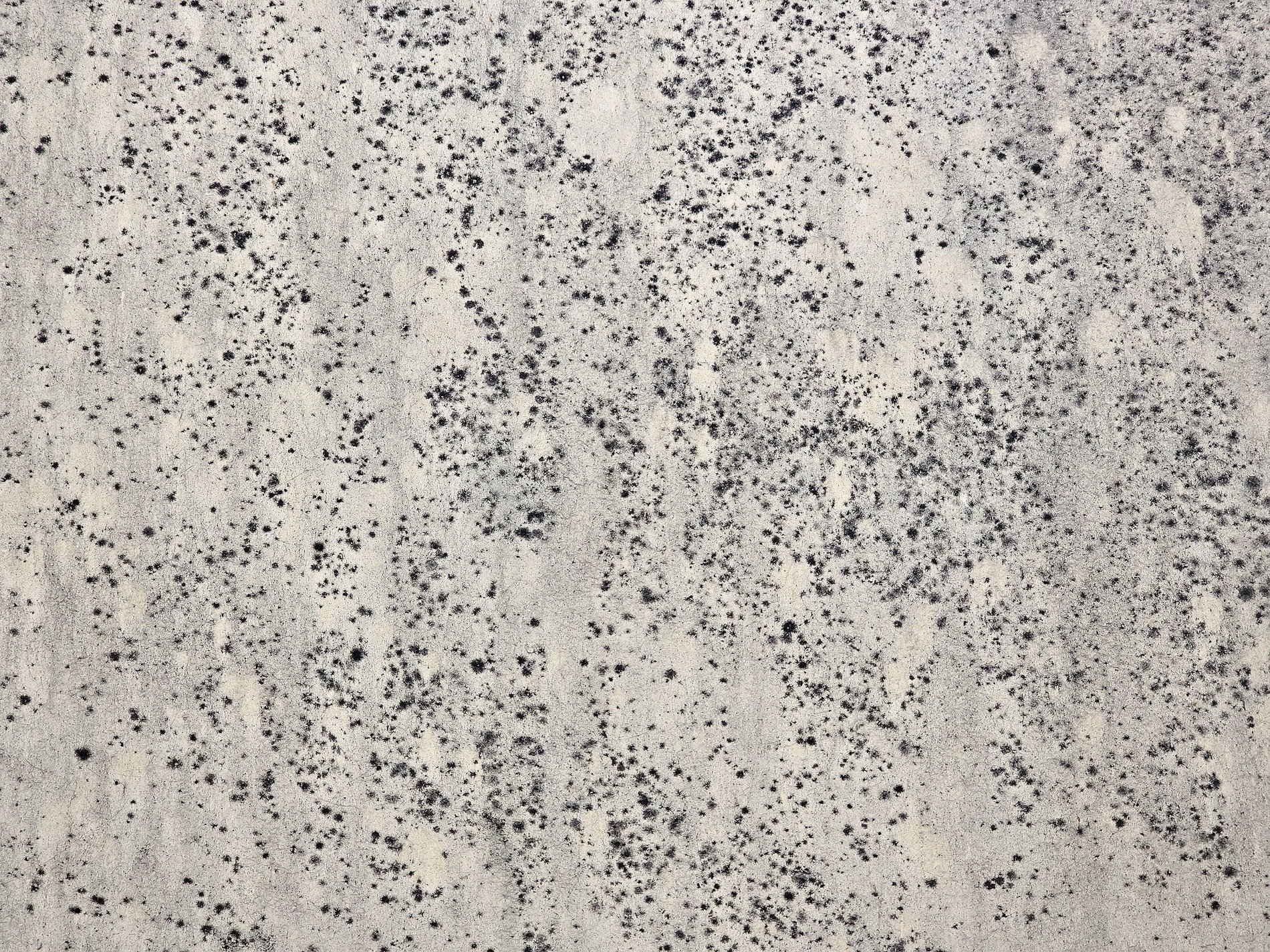 Gray stone holds the cold, tiny specks like frozen dust, nature stains the wall