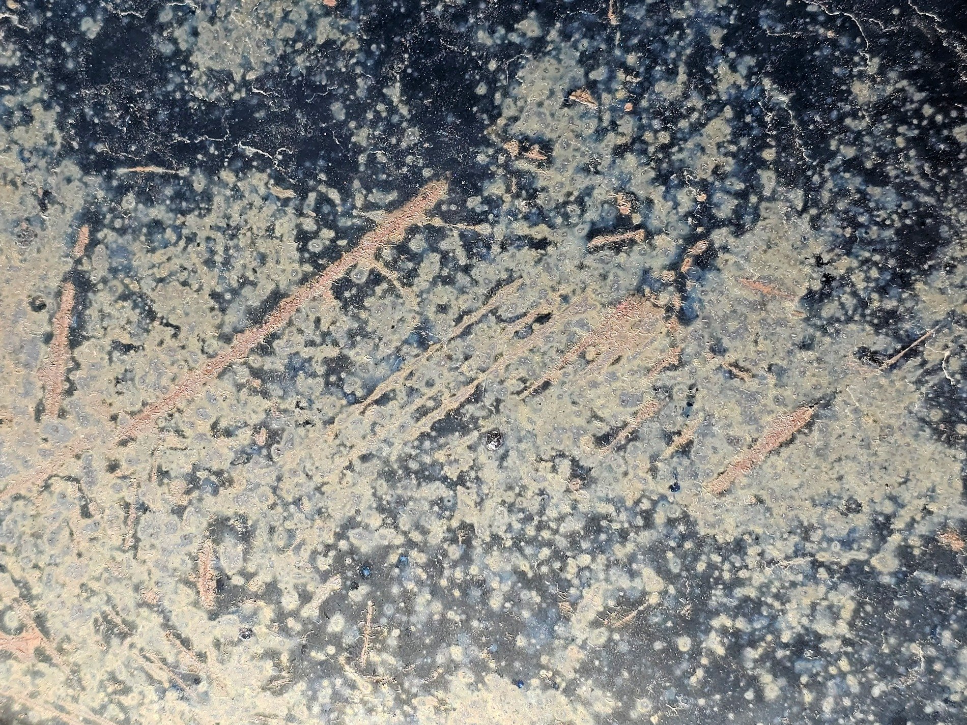 Dark fields meet the light, jagged spots scatter on top, grit holds the pattern