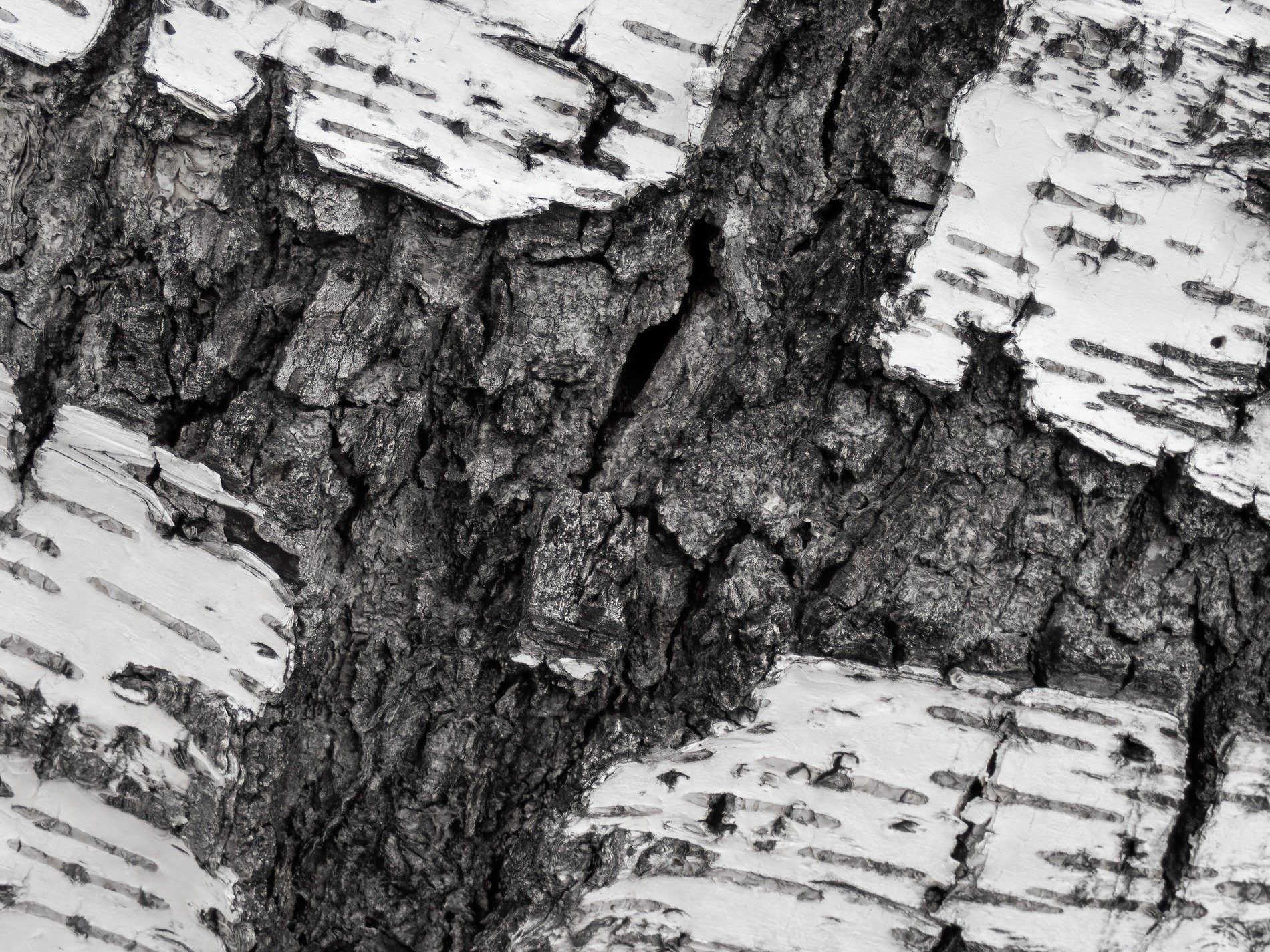 Dark pits mark the skin, jagged scars trace the surface, grit holds the finish