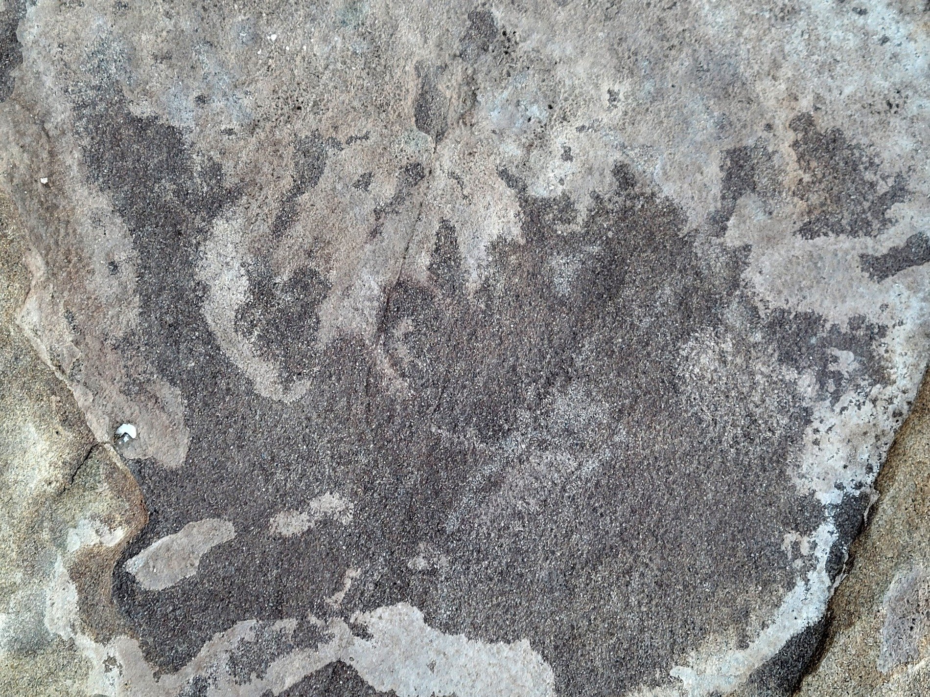 Dark pits mark the skin, jagged shadows trace the depth, weather wears the face