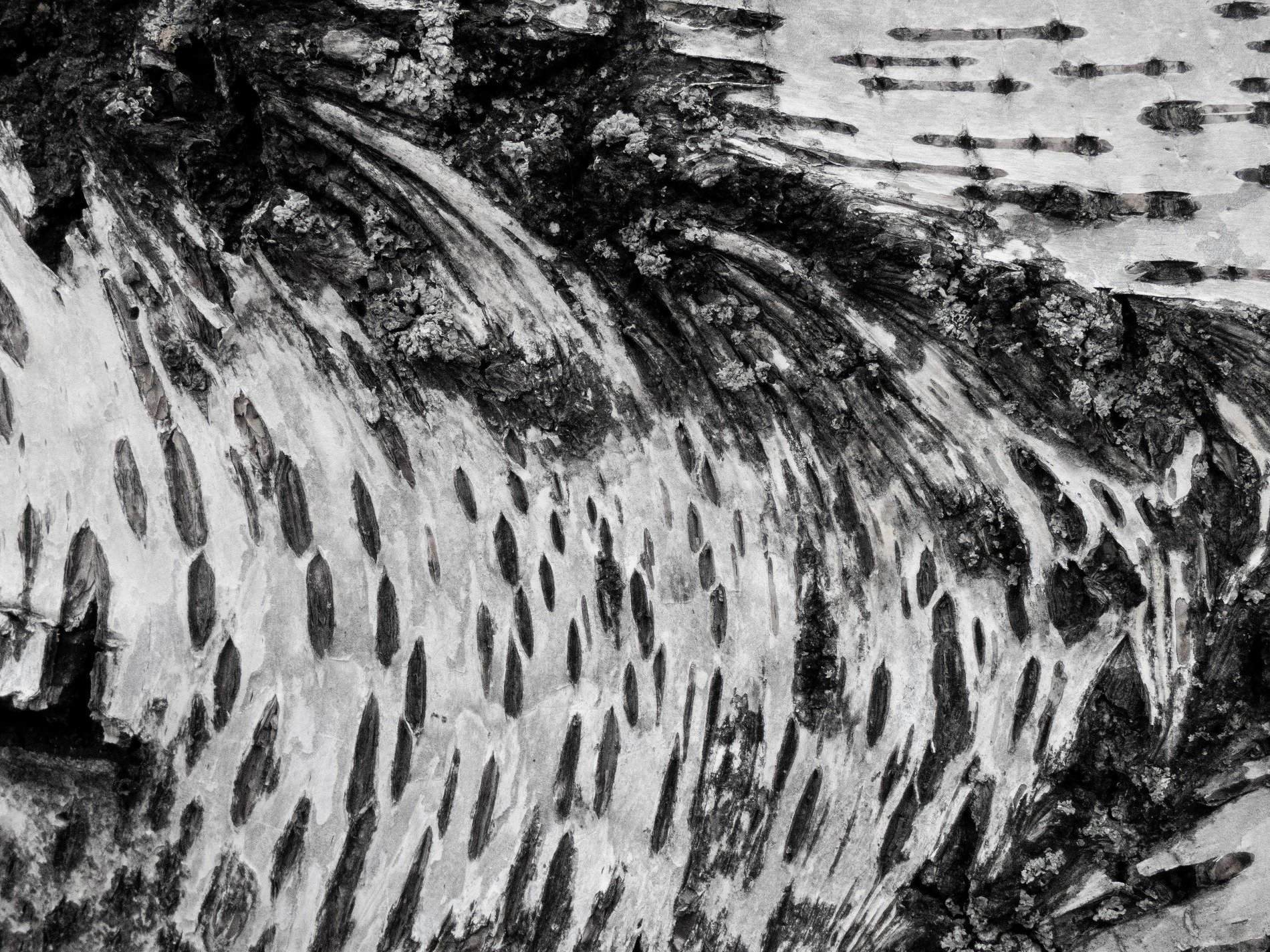 Dark rings hold the core, circular grains flow around, time marks the center