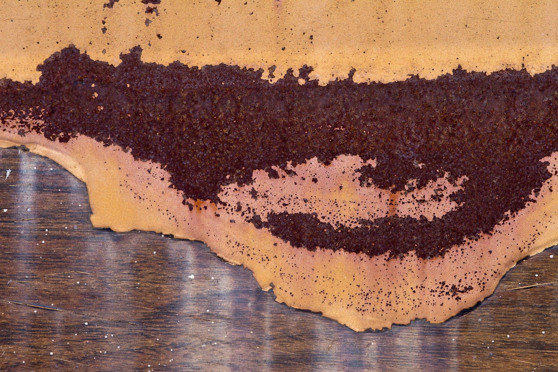 Yellow skin peels back, dark rust spreads its jagged path, woodgrain waits below