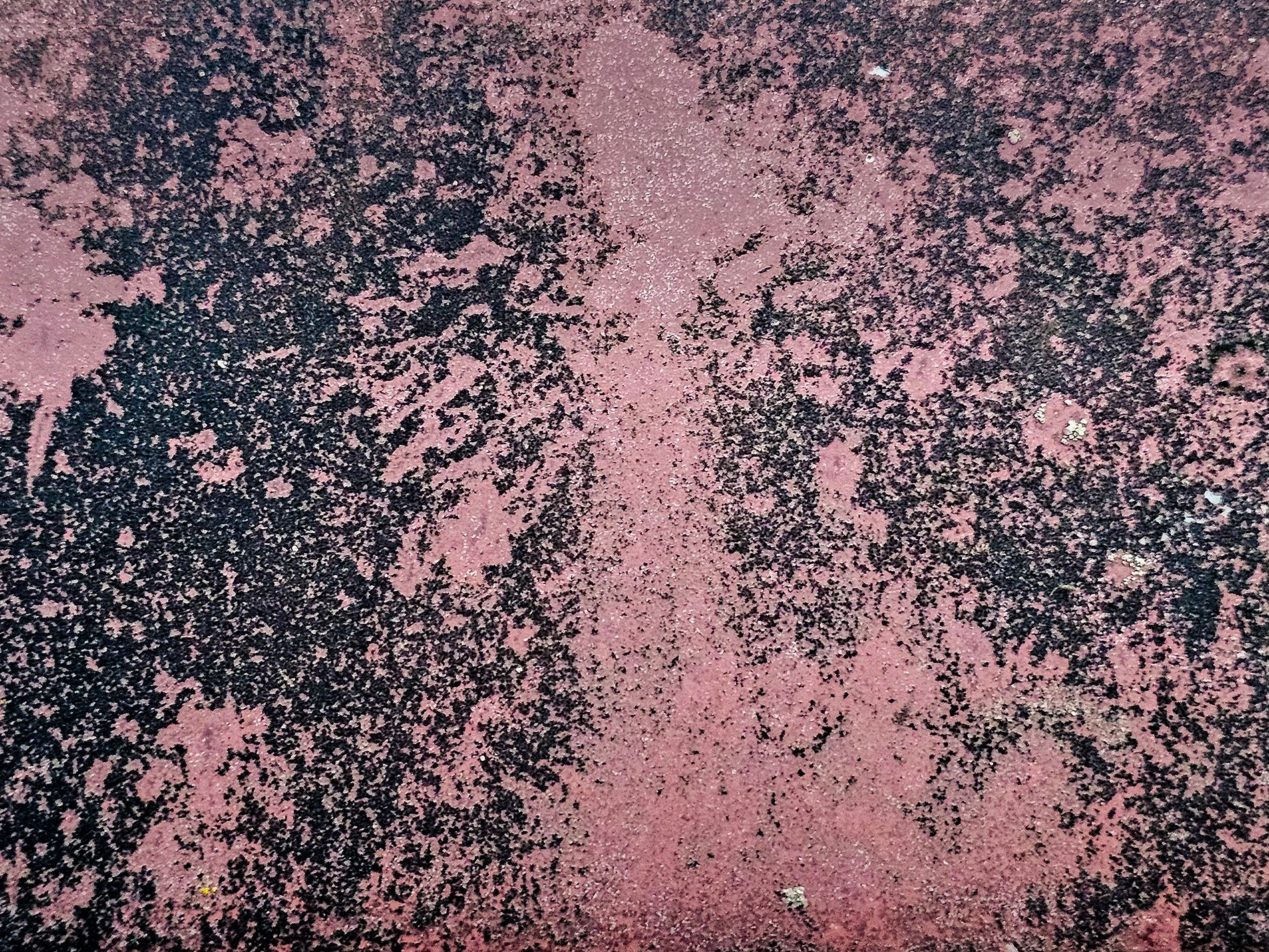 Faded mauve remains, black dust grows on the metal, iron turns to dust.
