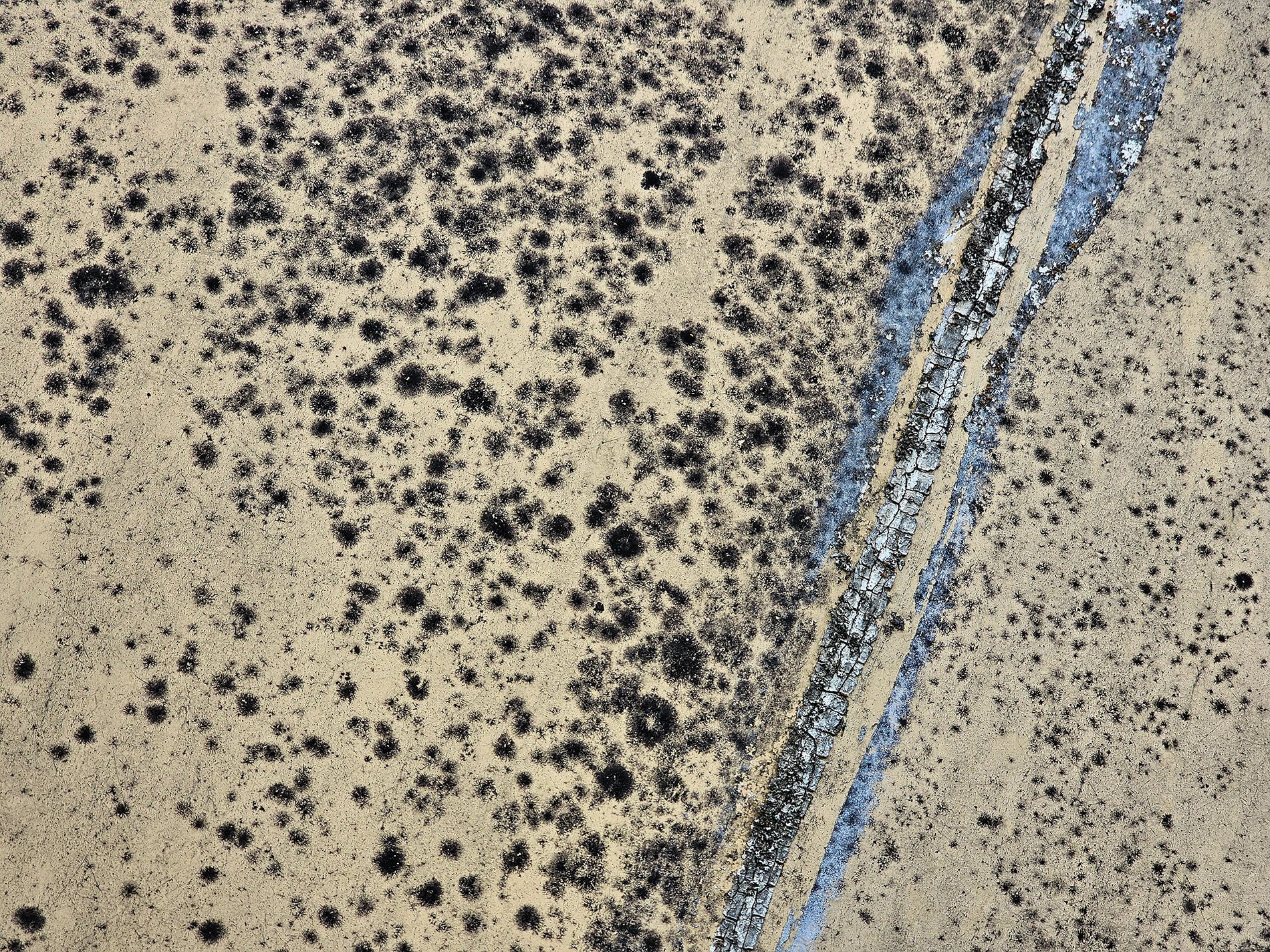 Faded yellow skin, black pits scar the surface deep, blue cracks mark the line.