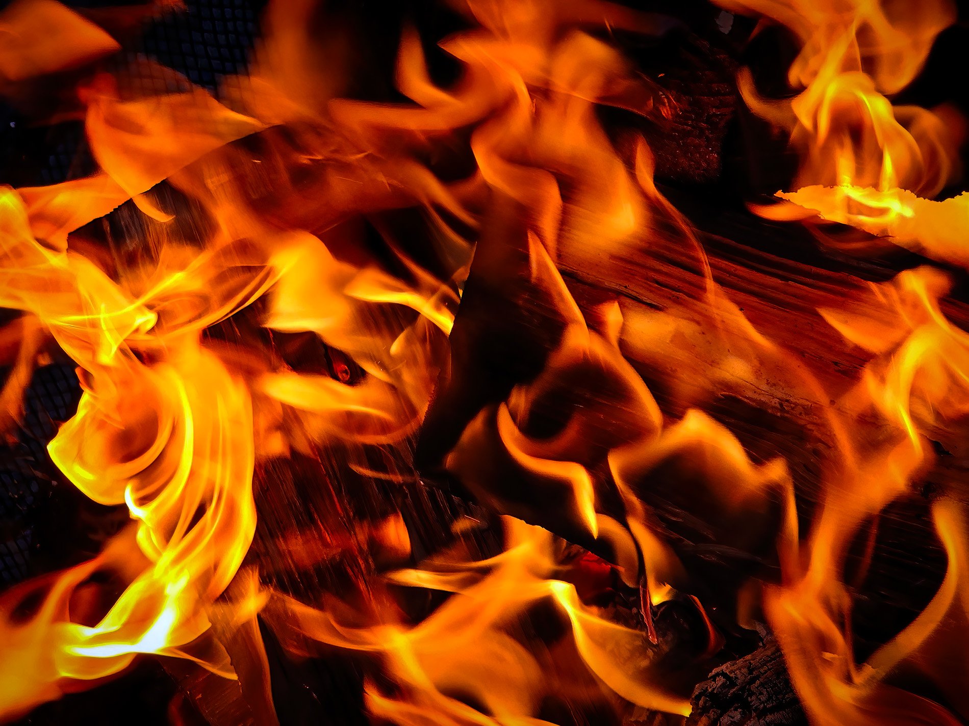 Golden ribbons dance, curling over charred dark logs, heat warms up the night.