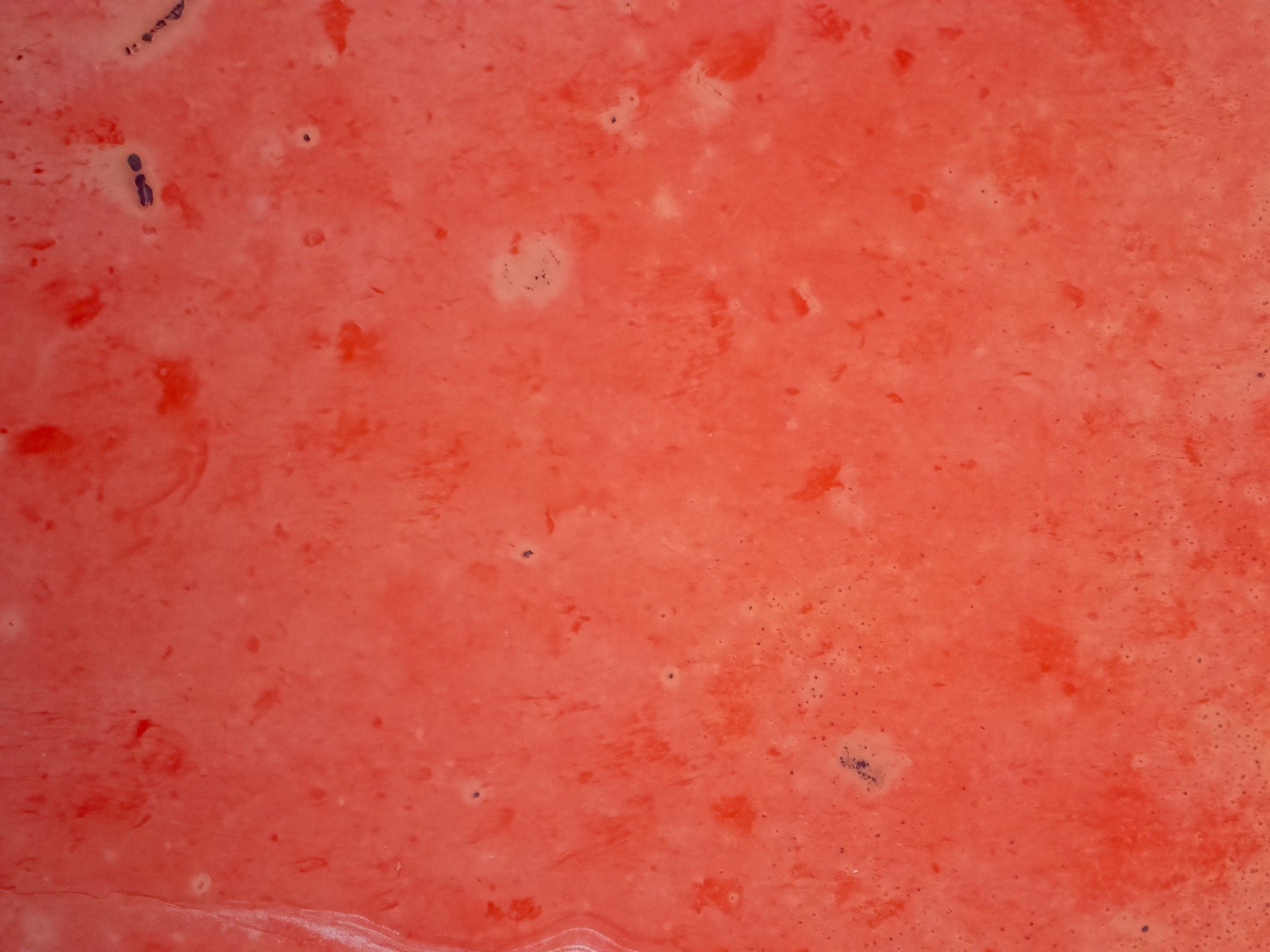 Green fields meet the sun, pale streaks trace the surface, time wears the line