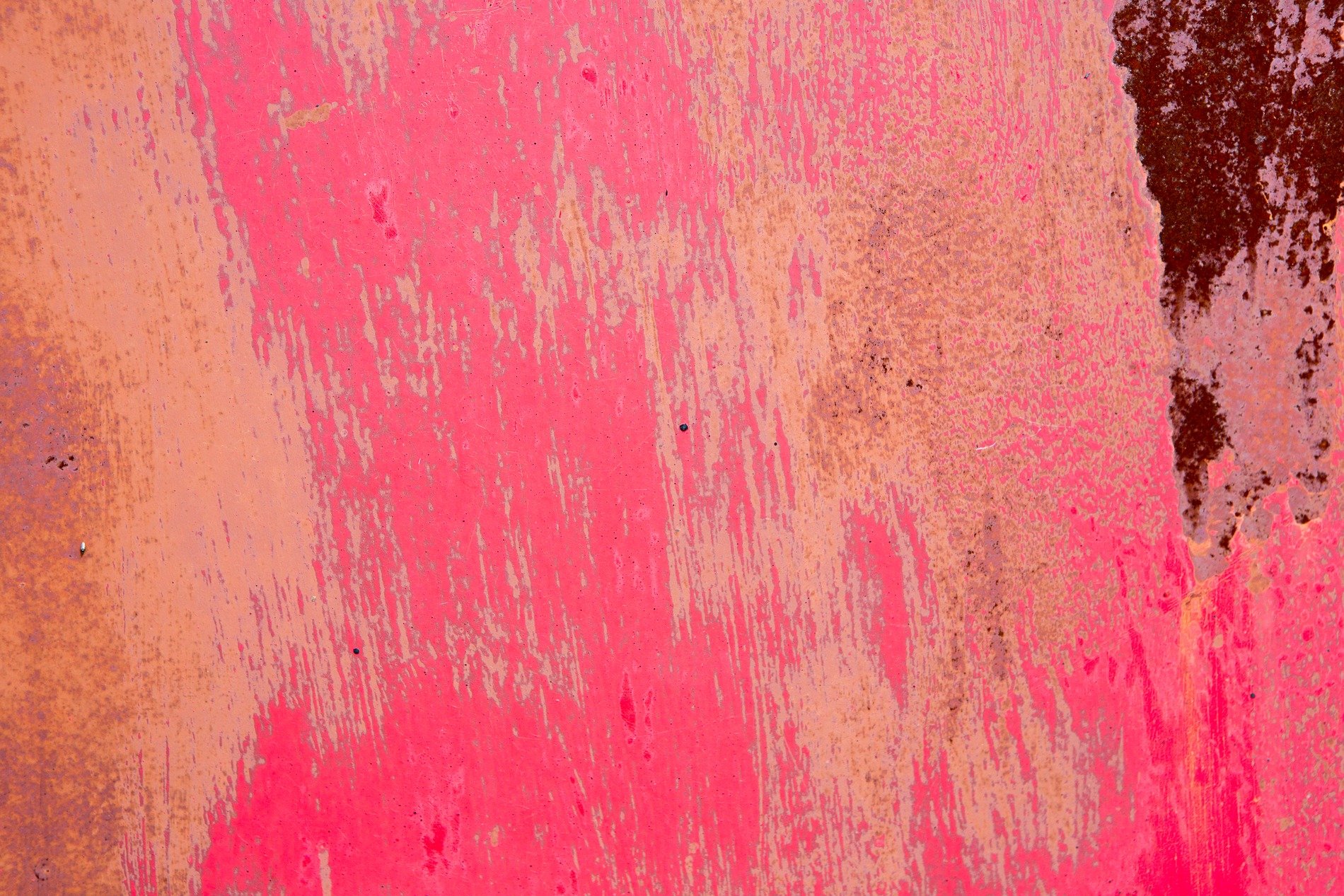 Pink paint peels away, rust bleeds through the heavy steel, time erodes the coat