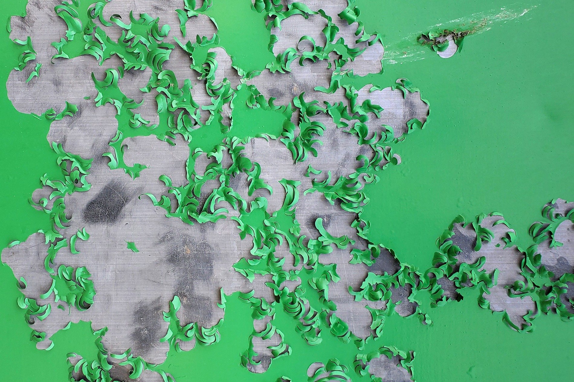 Green skin flakes away, jagged edges meet the light, grit marks the surface