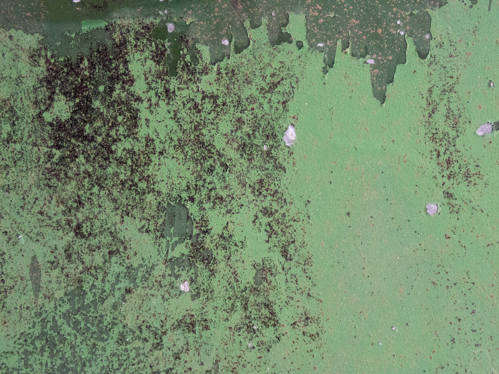 Green flakes fall away, dark earth stains the weathered steel, time chips at the paint