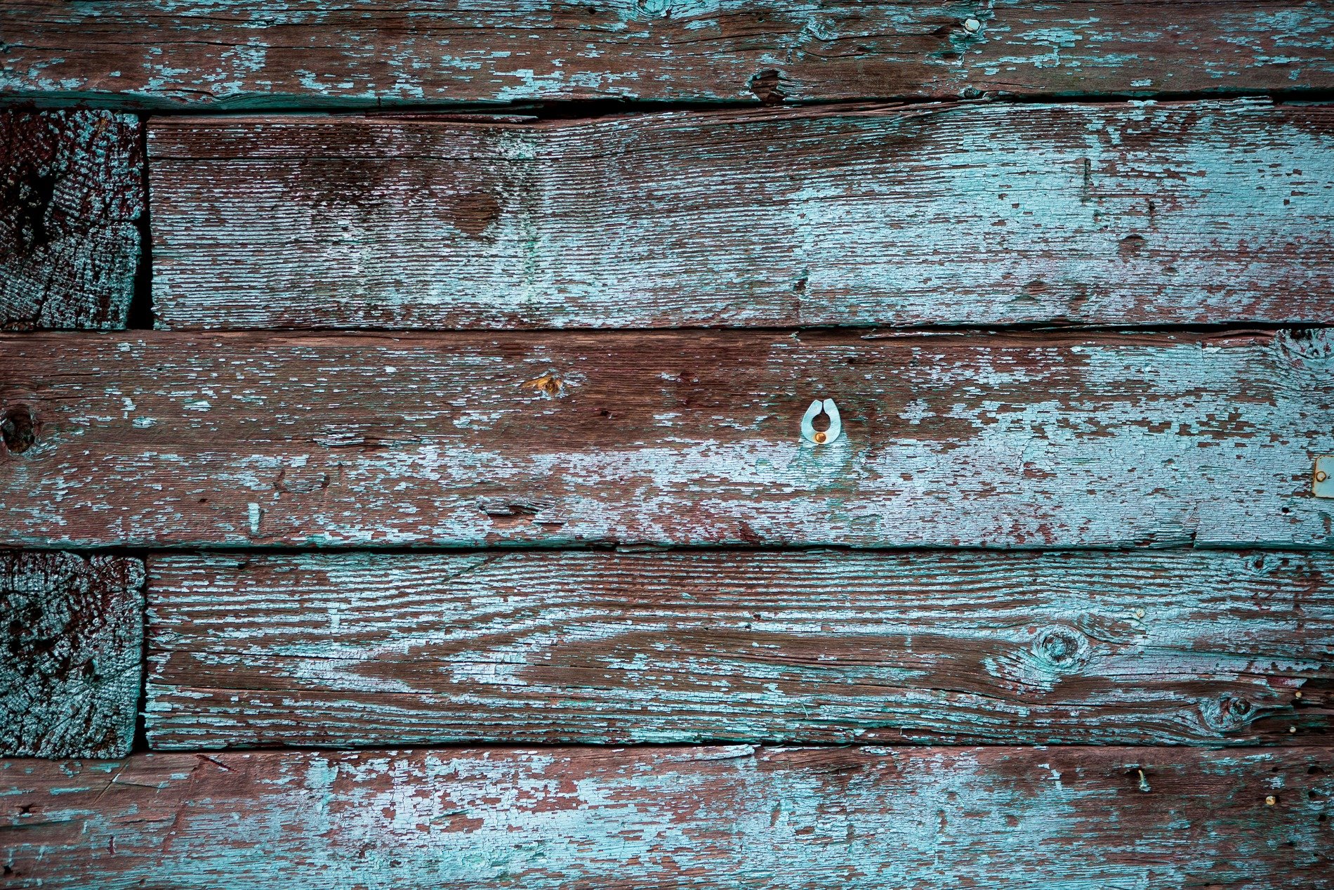 Green skin meets the rust, jagged lines trace the metal, decay takes the light