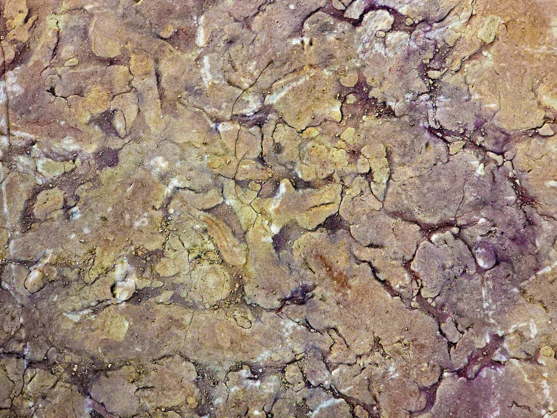 Grey bands in the granite, black specks scatter on the stone, mineral flows deep