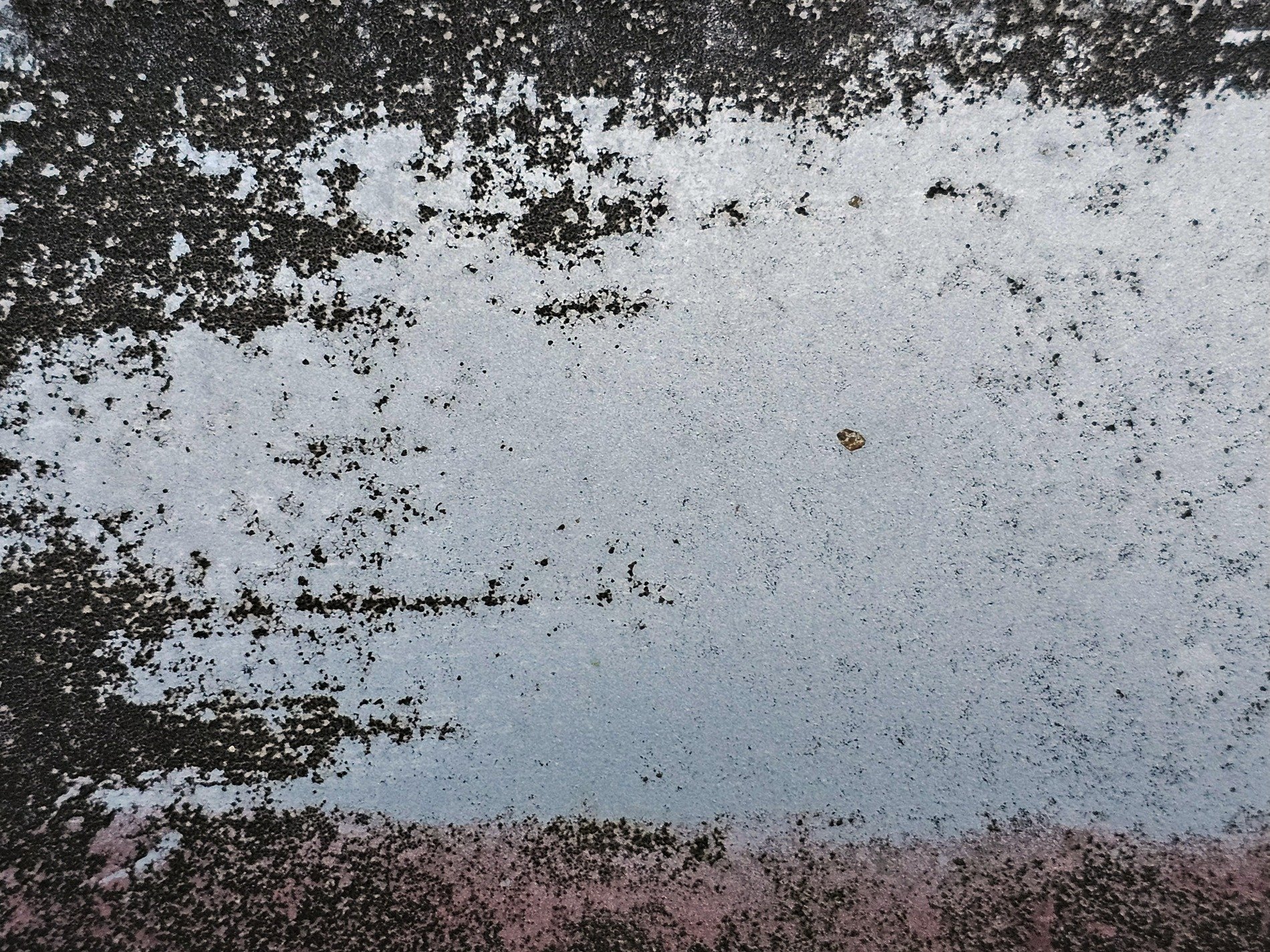 Grey fields meet the dark, black spots bloom on faded blue, grit holds the thin mark