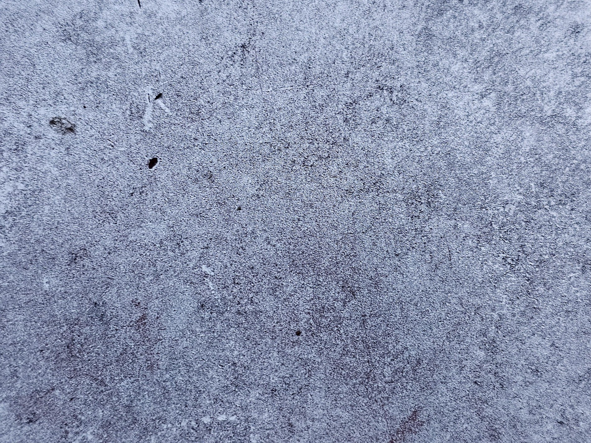 Frosted blue surface, icy grain across the plate, winter's cold embrace